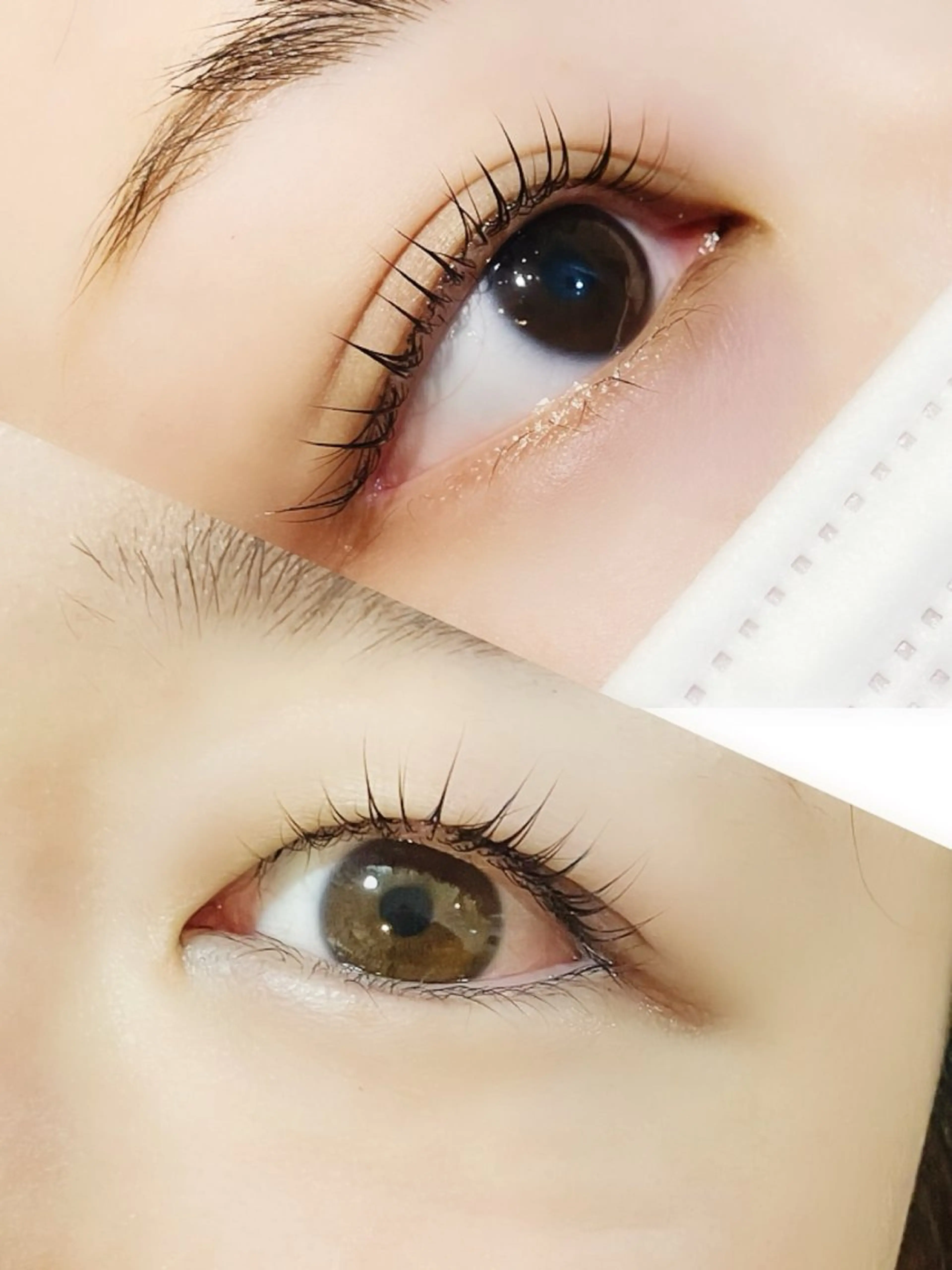 ティントパーマの写真