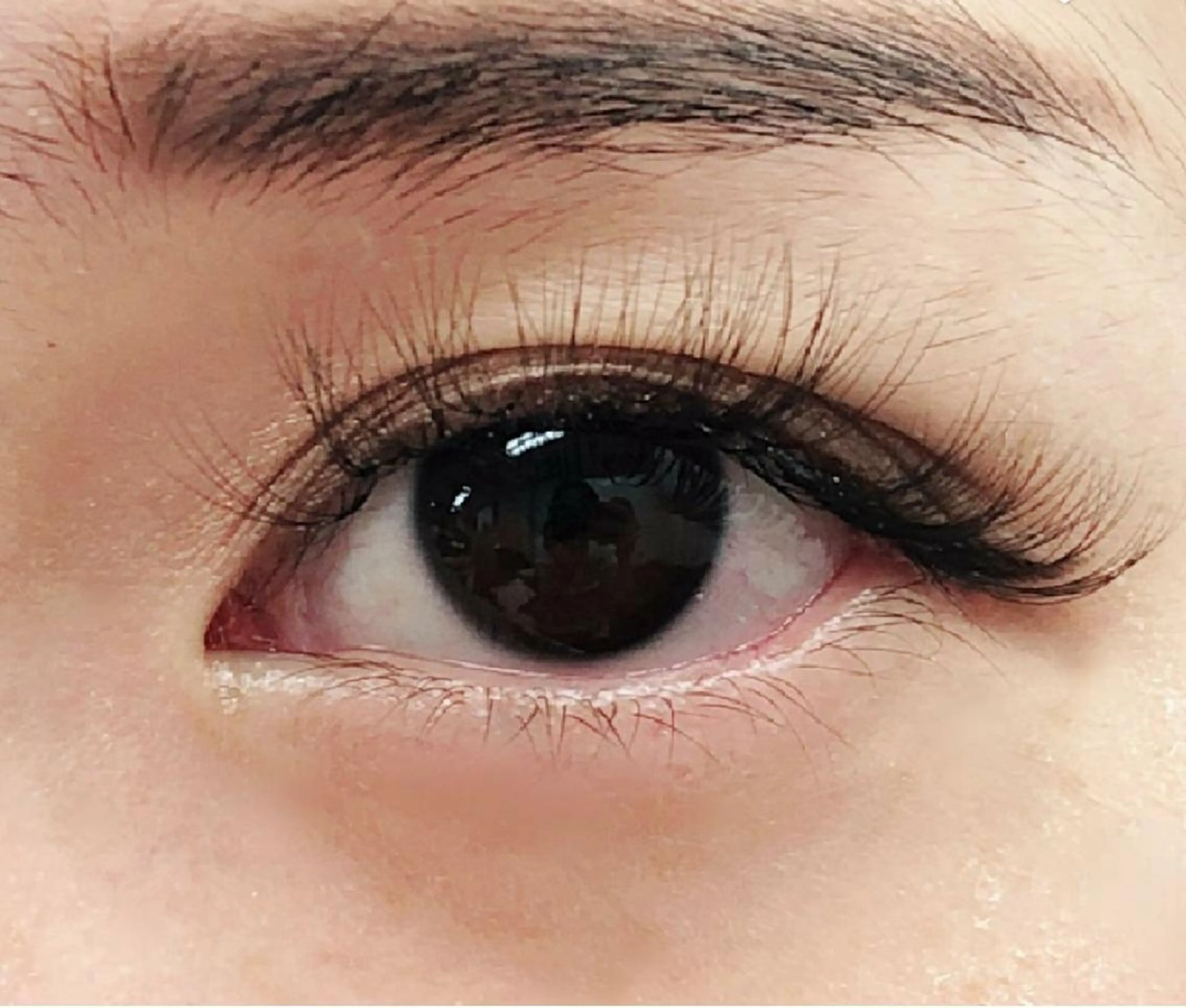 マツエク・マツパ 🇰🇷韓国風艶髪✨ 髪質改善 倉岡しおんのヘアスタイル