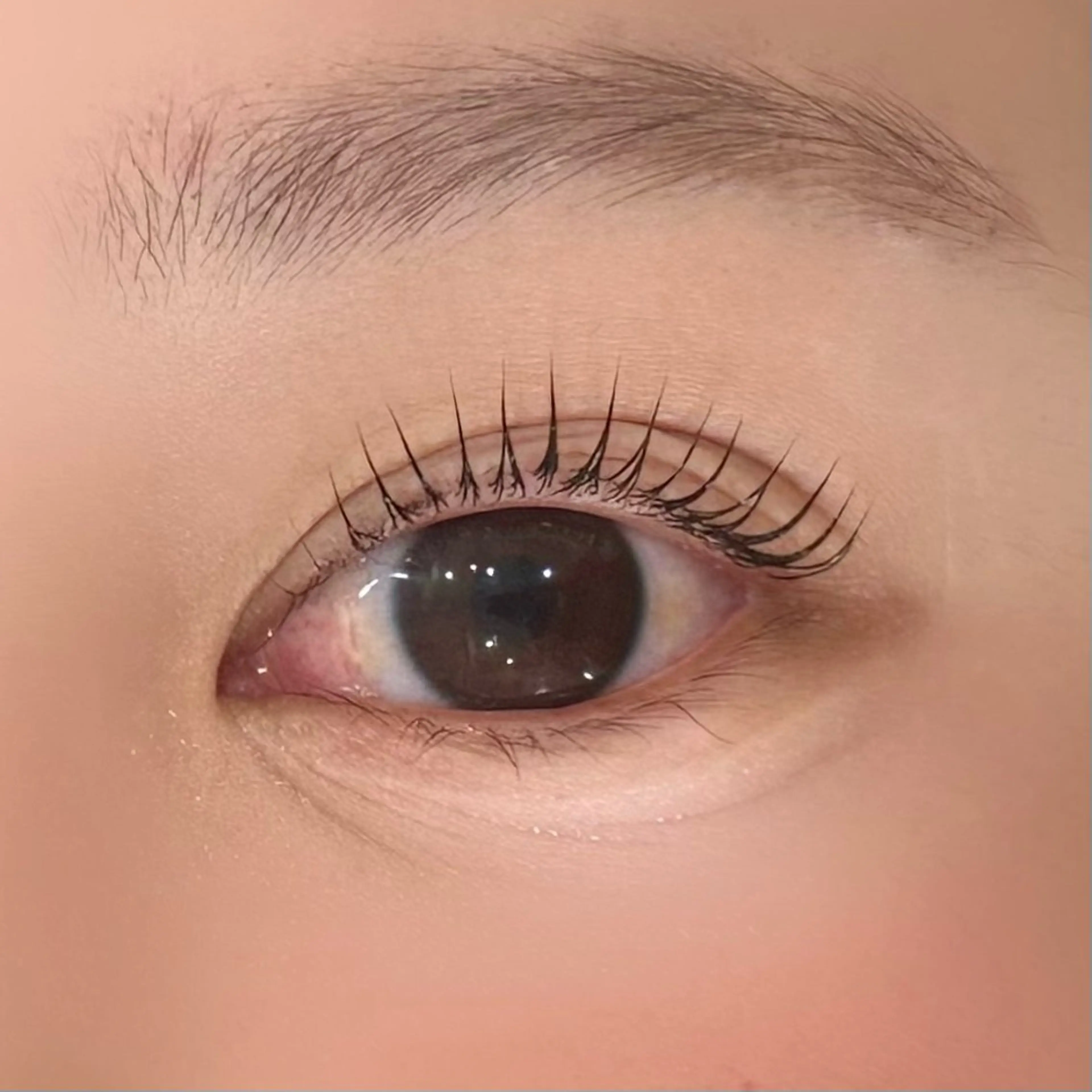 マツエク・マツパ マツパ eyelash Zen　manakaのマツエク・マツパデザイン