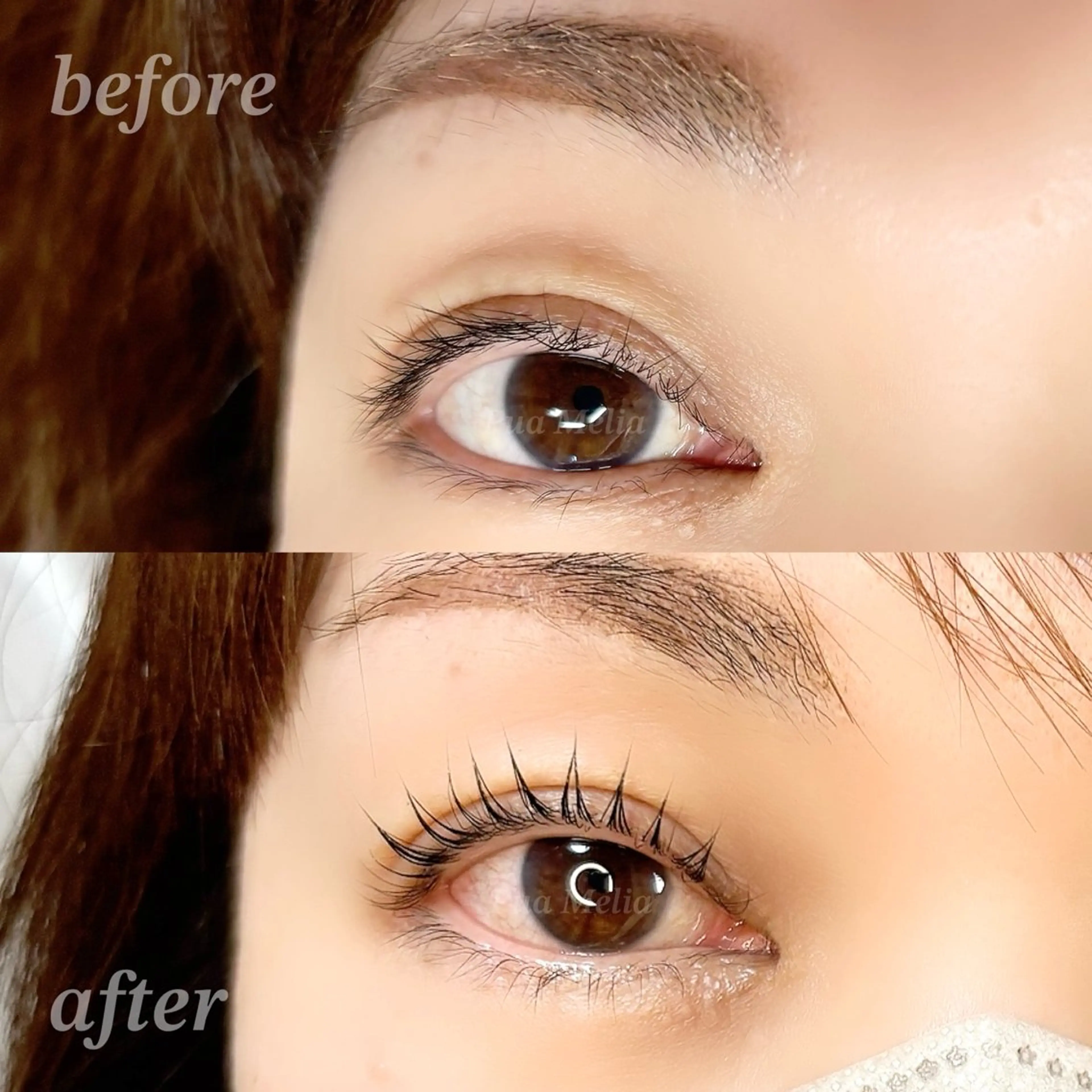 マツエク・マツパ マツパ Pua Meliaのマツエク・マツパデザイン