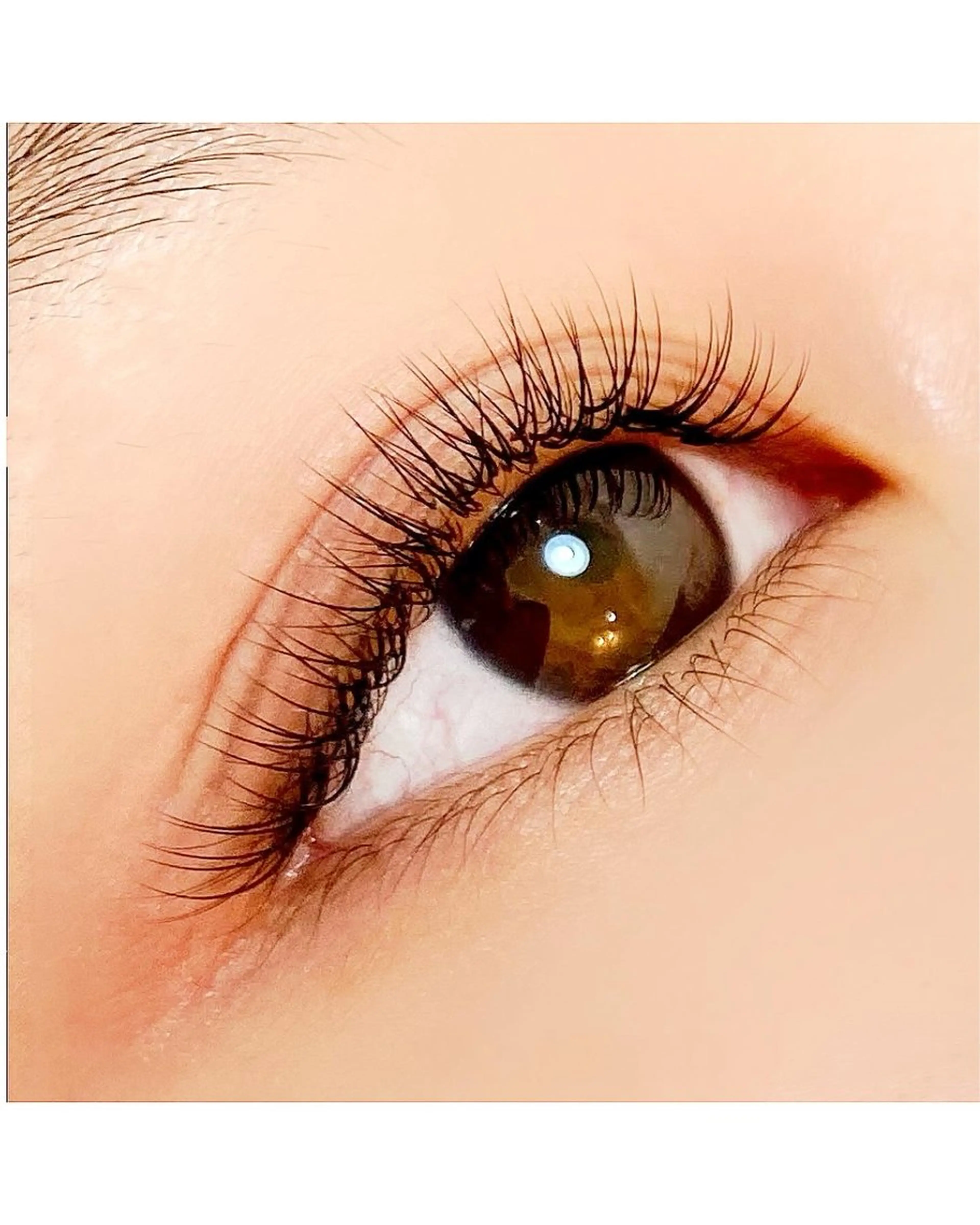 最新LEDフラットラッシュ120本(アイシャンプー、コーティング付)の写真