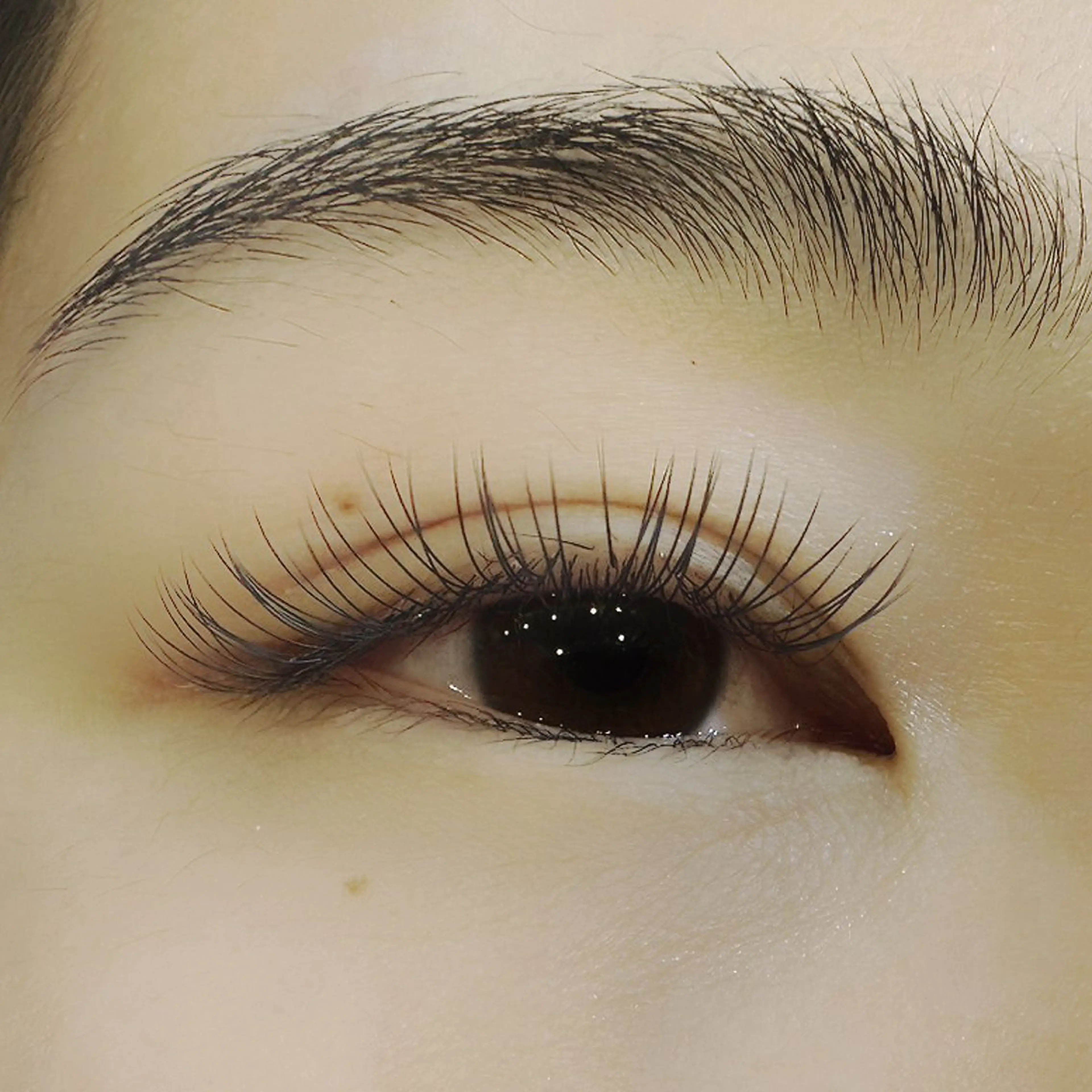 マツエク・マツパ フラットラッシュ マツエク ノーファンデの樹所属・宇治 名帆子のマツエク・マツパデザイン