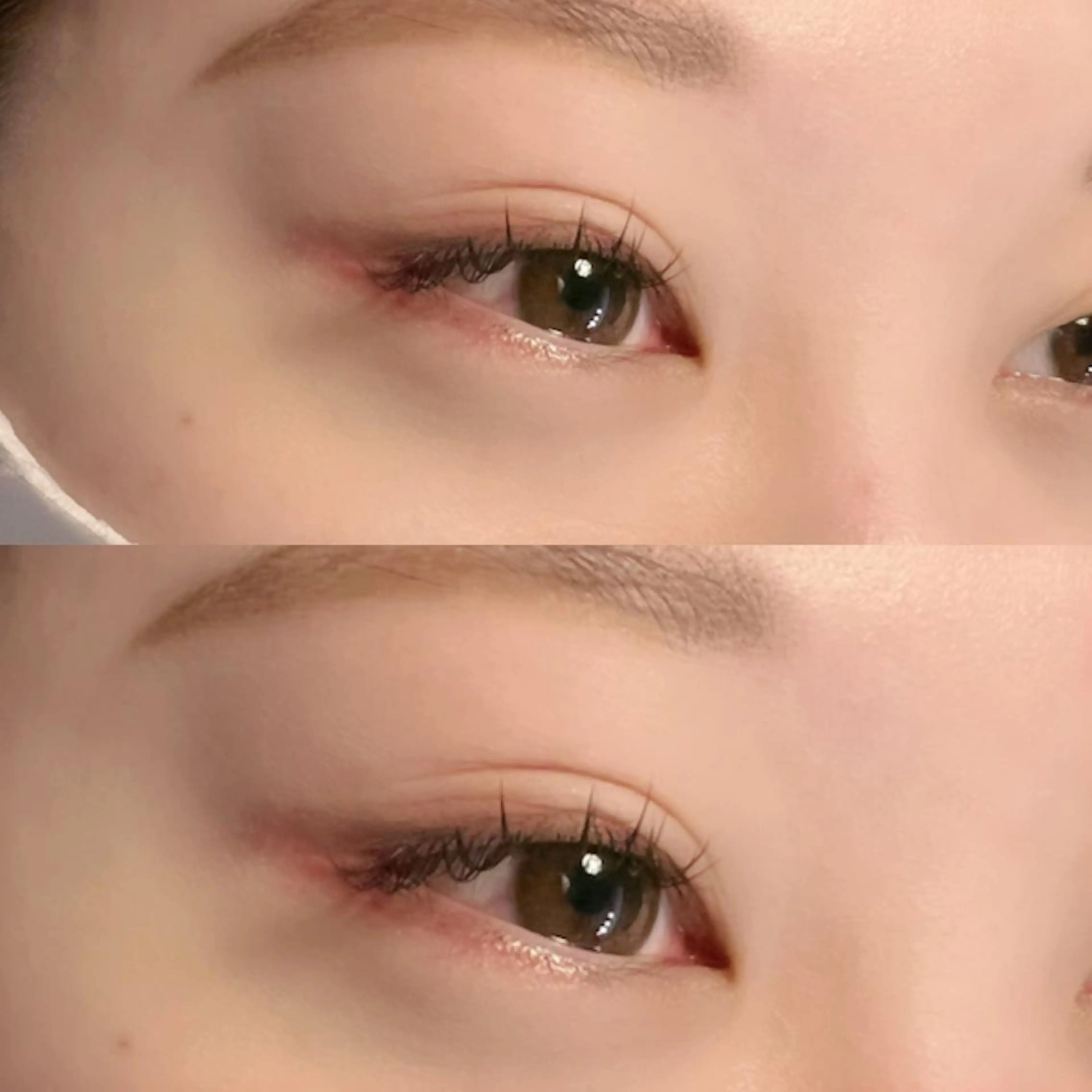 ◇オフなし◇バインドロック40束＋フラットマットラッシュ60本の写真