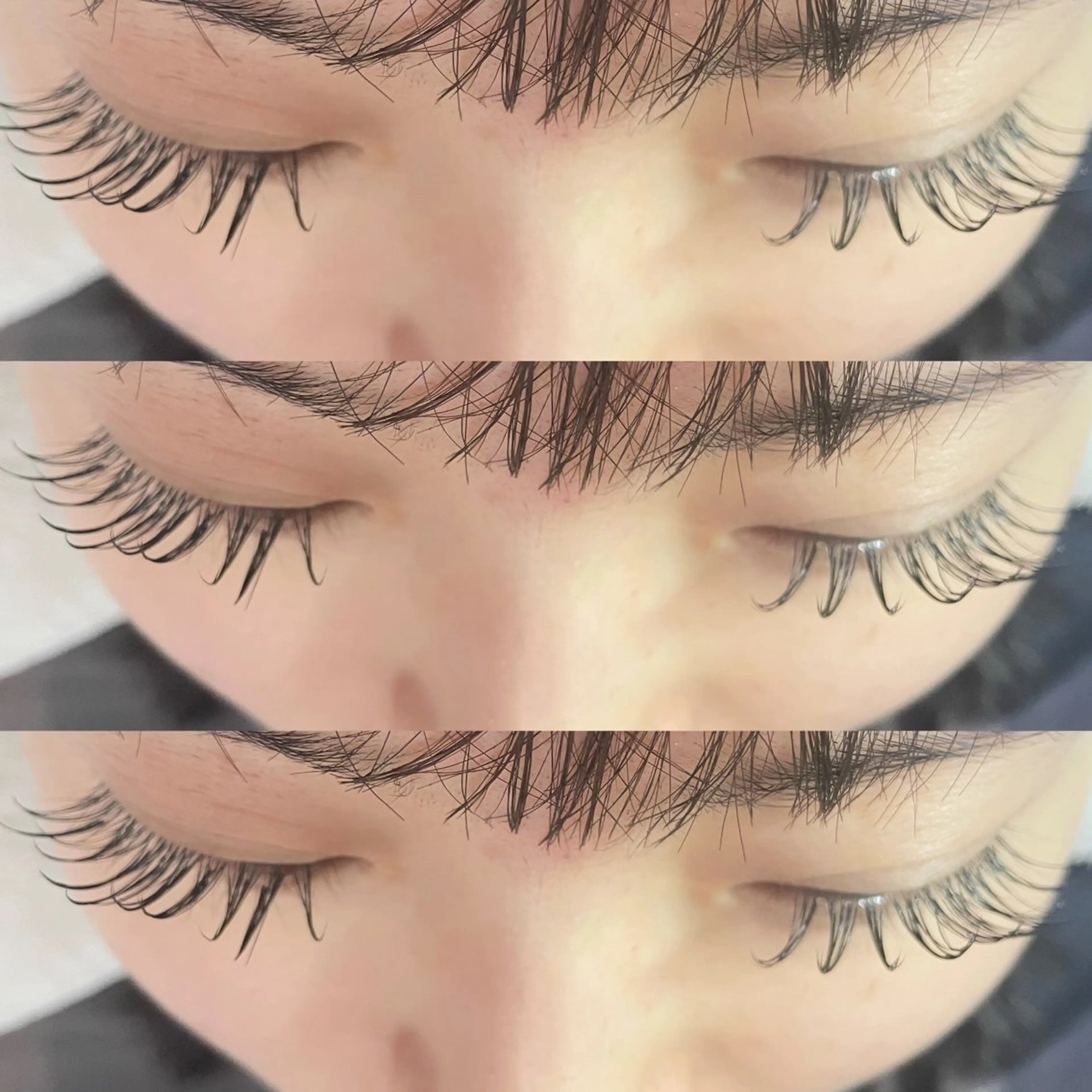 フラットラッシュ120本🌱の写真