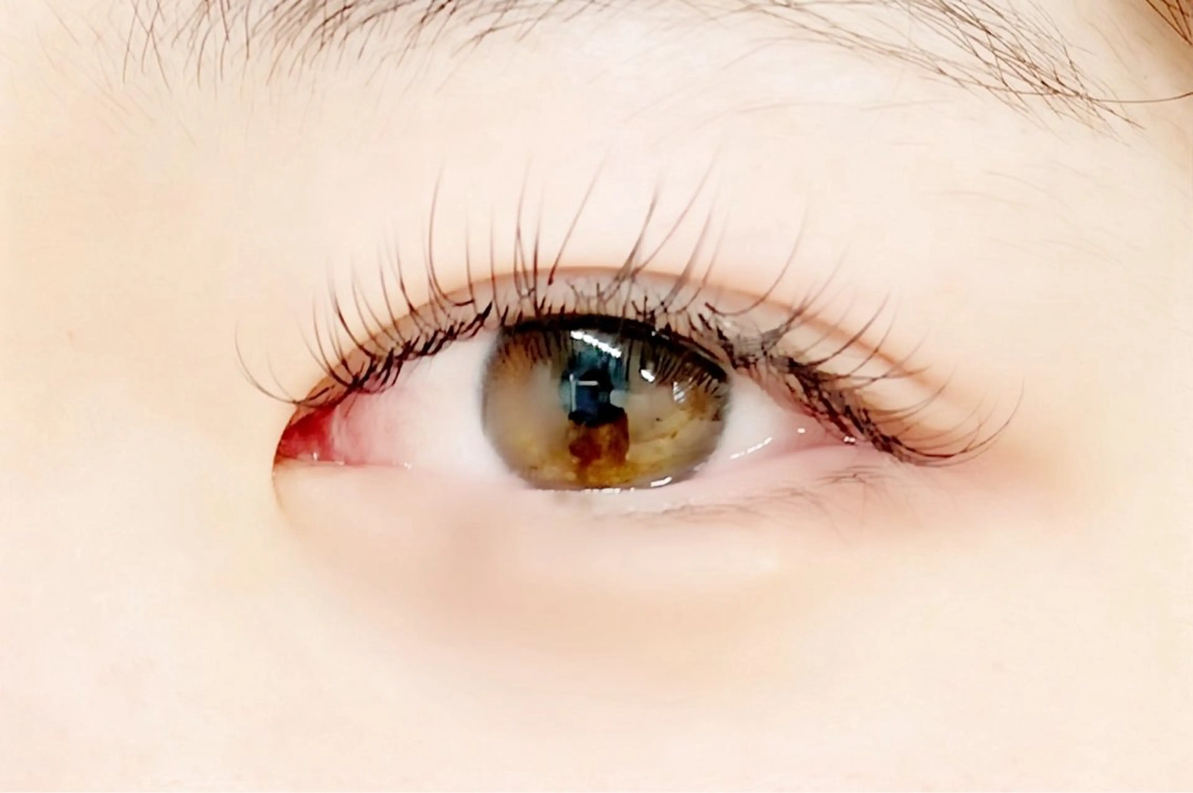 【フラットラッシュ】まつ毛エクステ120本＋アイシャンプー付き＋オフ込み　Cカールの写真