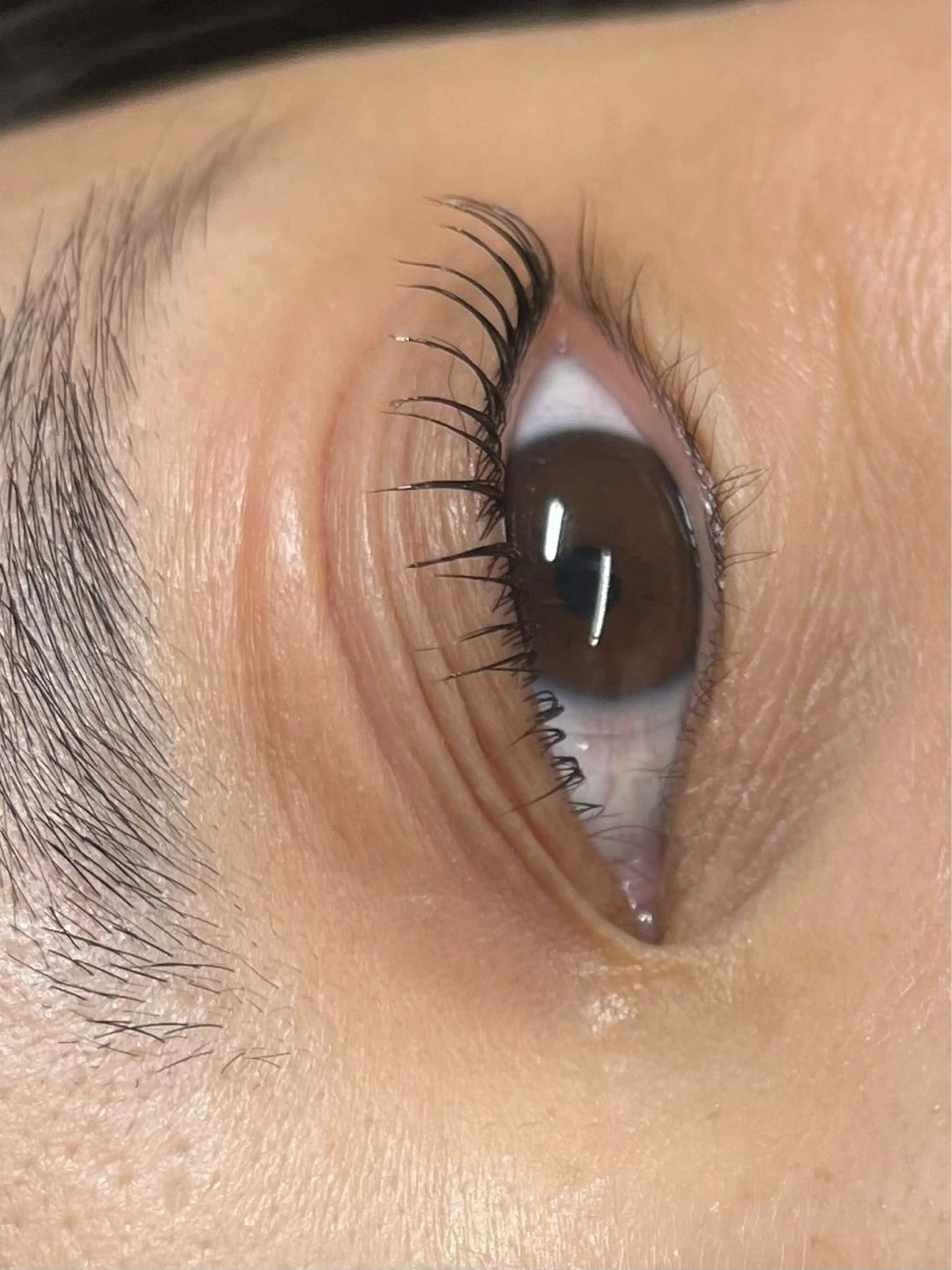 マツエク・マツパ BREK 金沢店のマツエク・マツパデザイン