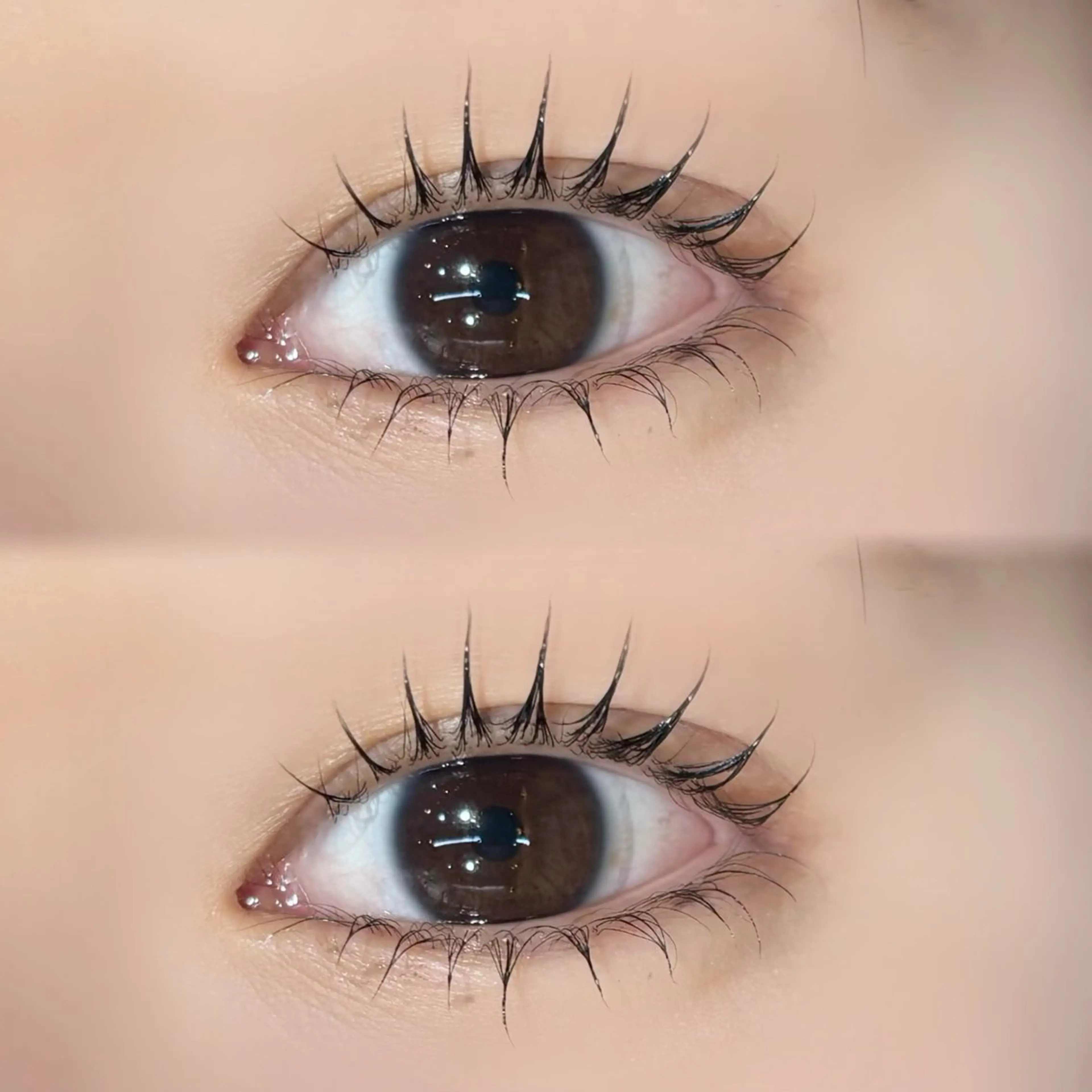 ラッシュリフト[上下]の写真