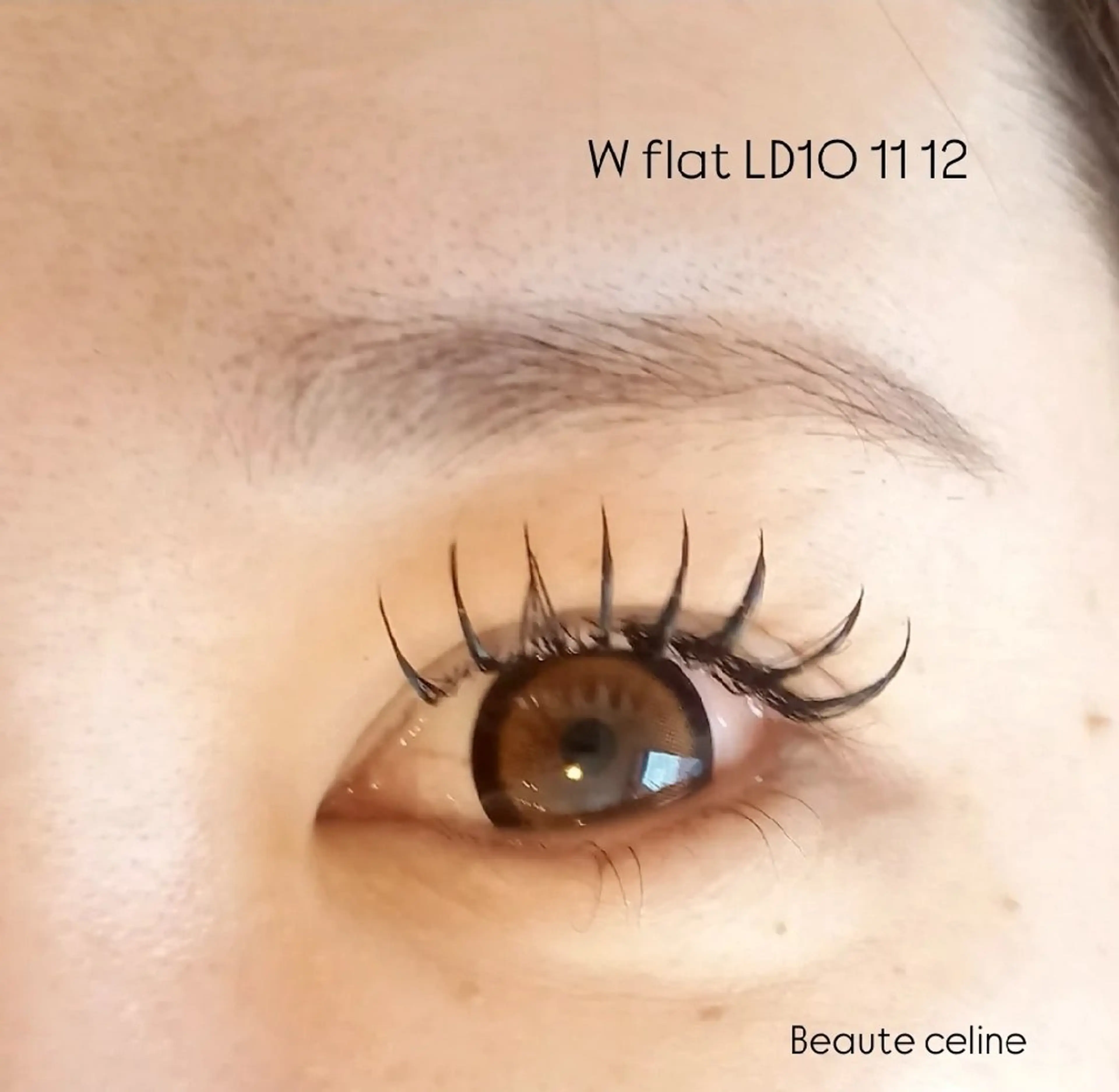 マツエク・マツパ マツエク 8時～✨beaute Celine🌛🌹のマツエク・マツパデザイン