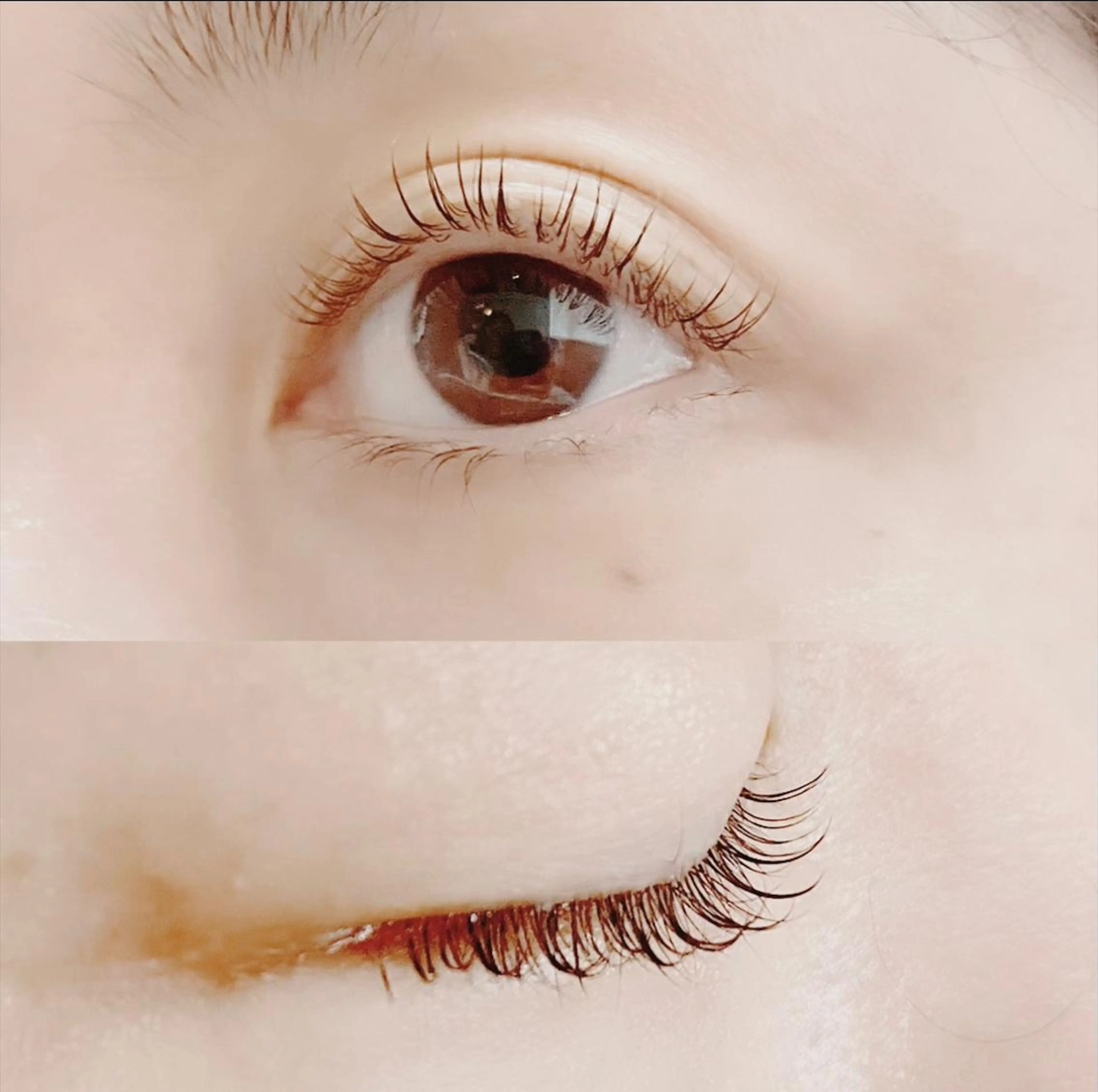 マツエク・マツパ 一重×まつ毛パーマ eyelash "Koa"🕊🤎のマツエク・マツパデザイン