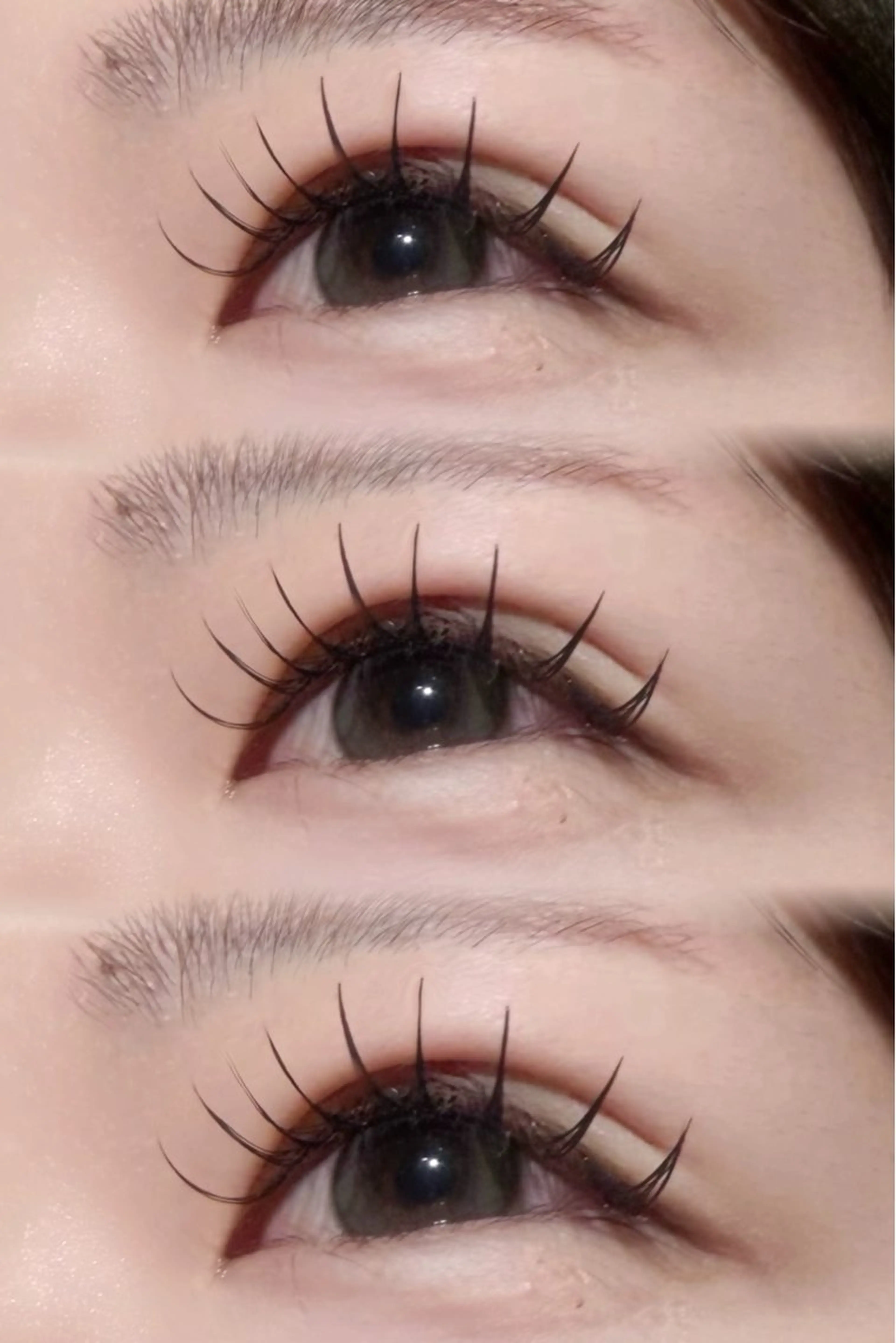 《4月限定大特価✨》フラットラッシュ🤍(上) 100~120本の写真