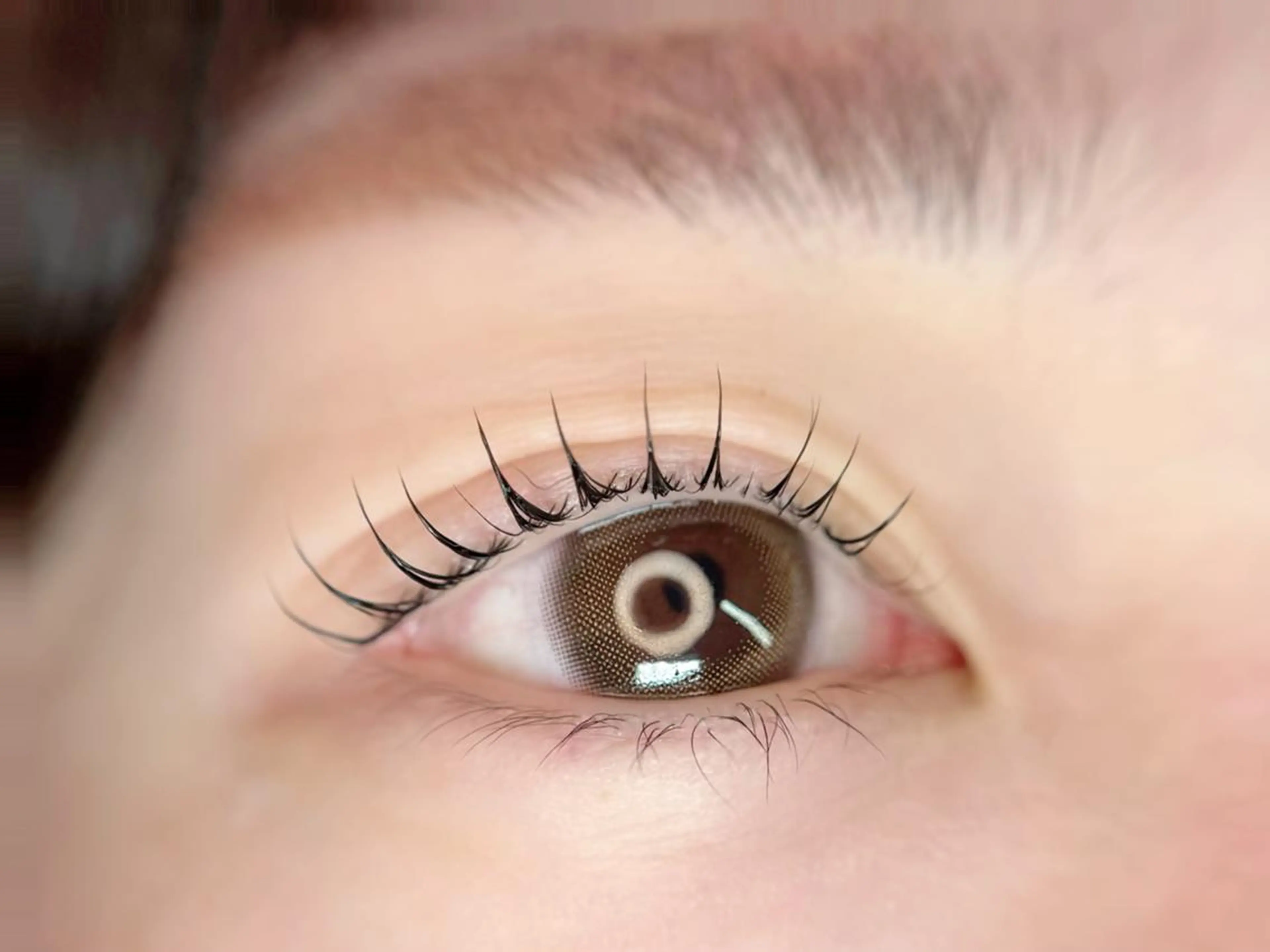 敏感肌の方に⭐︎オーダーメイドまつげパーマトリートメント付き¥3000・お支払いは現金のみの対応の写真