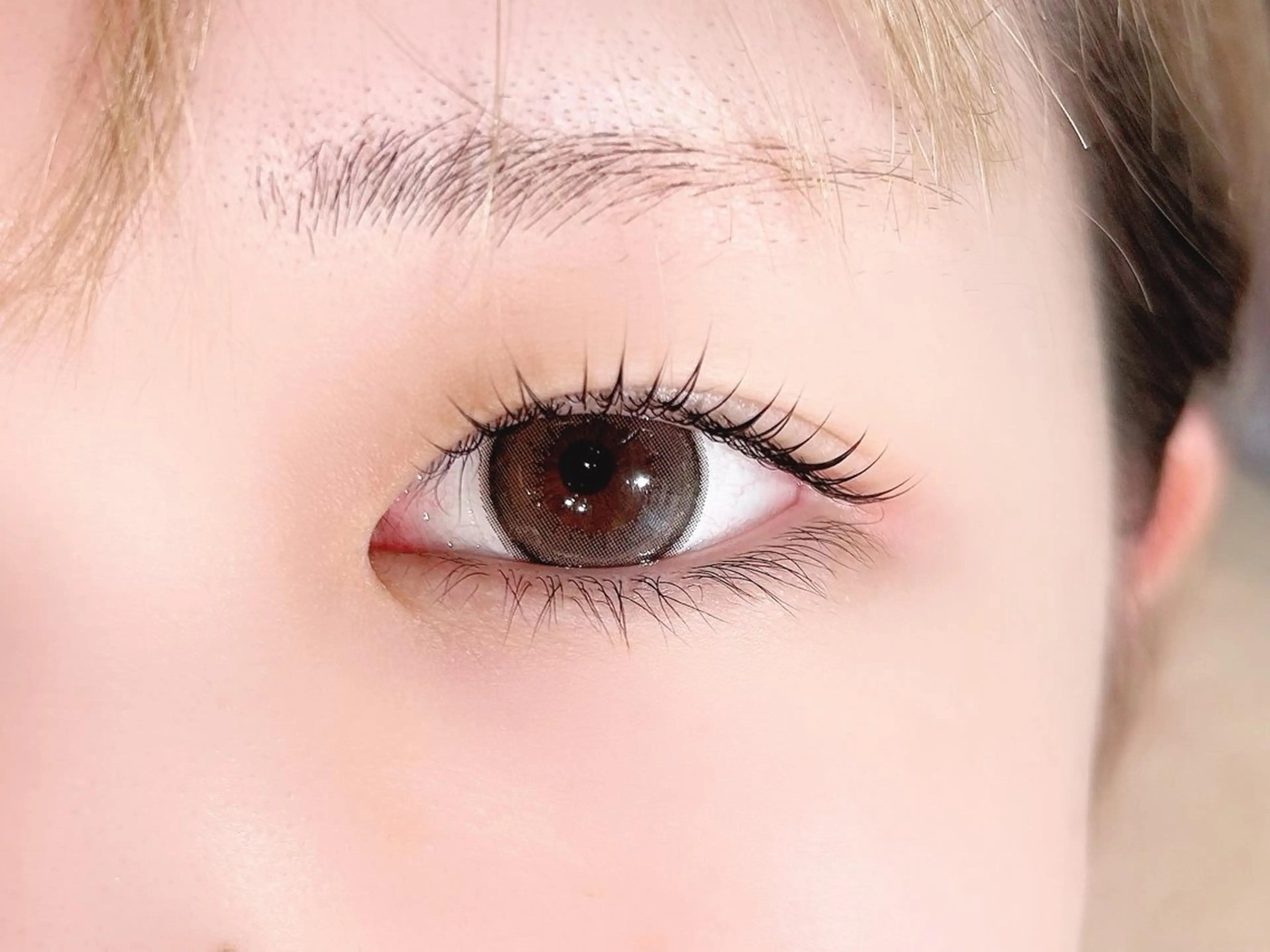 [最新まつ毛パーマ]セラムラッシュリフトの写真