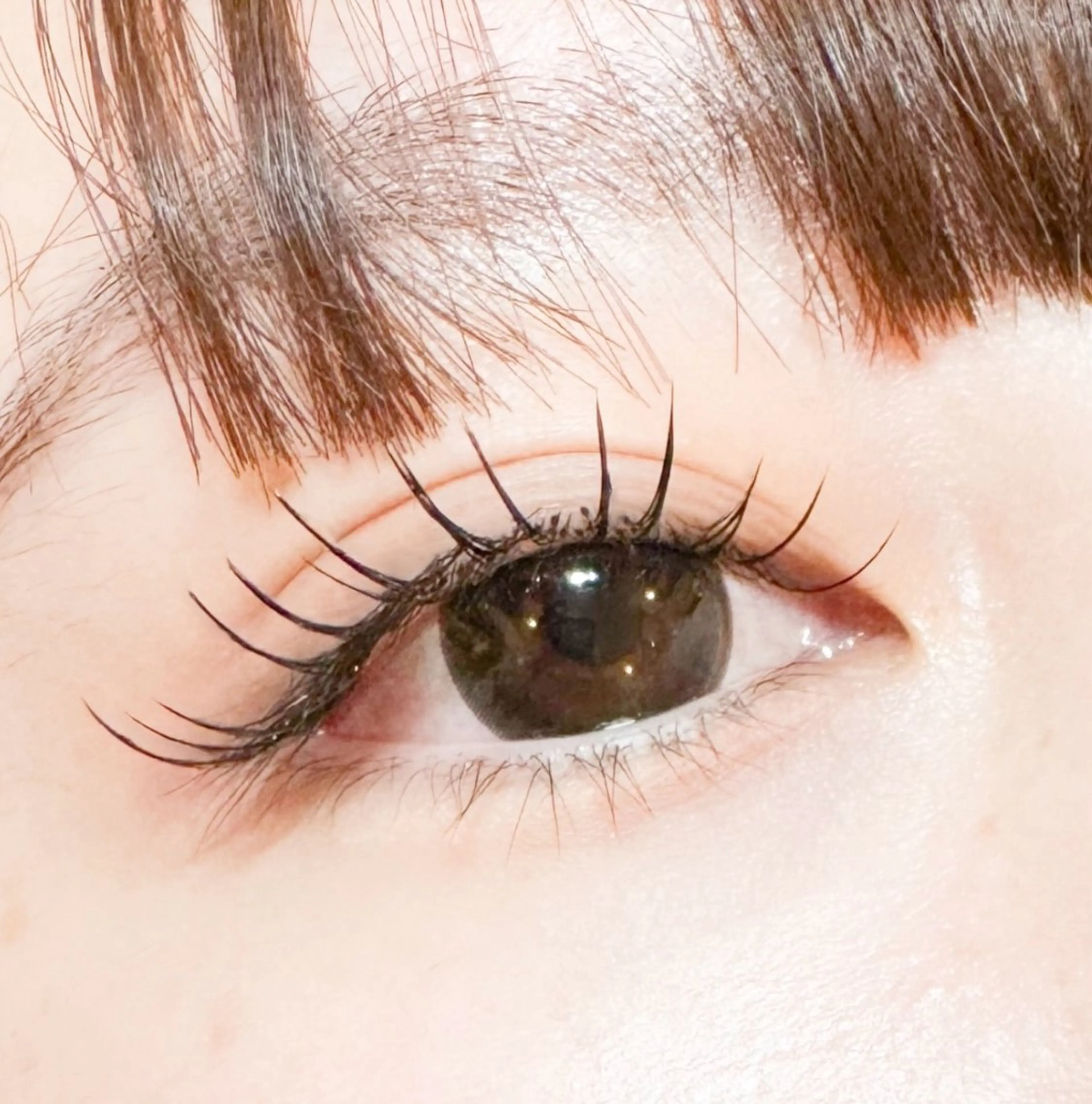 マツエク・マツパ 束感まつ毛 Cカール マツエク Isogai 𓏸𓍯﻿のマツエク・マツパデザイン