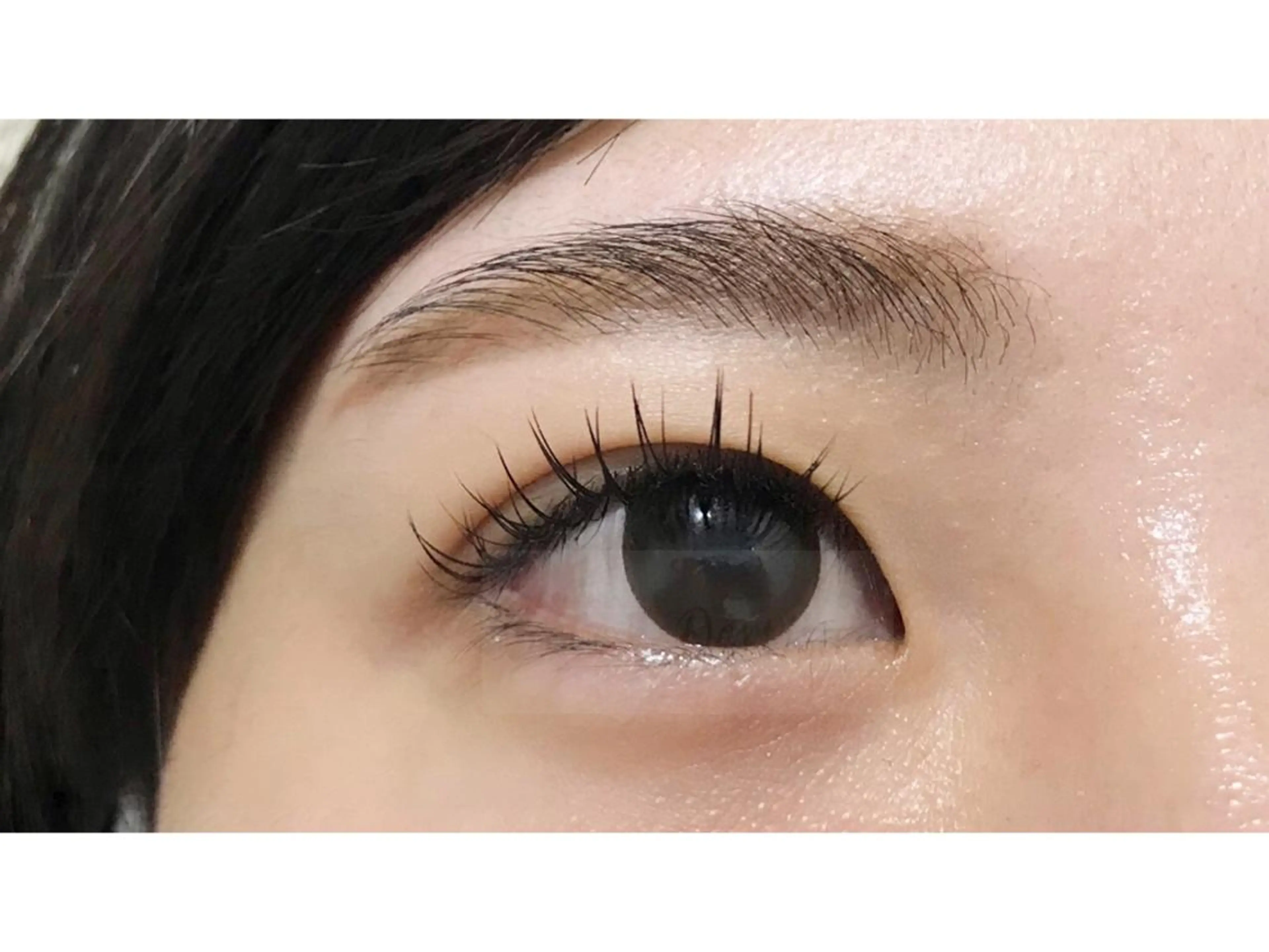 マツエク・マツパ トレヴァーデルチザン inuiのマツエク・マツパデザイン