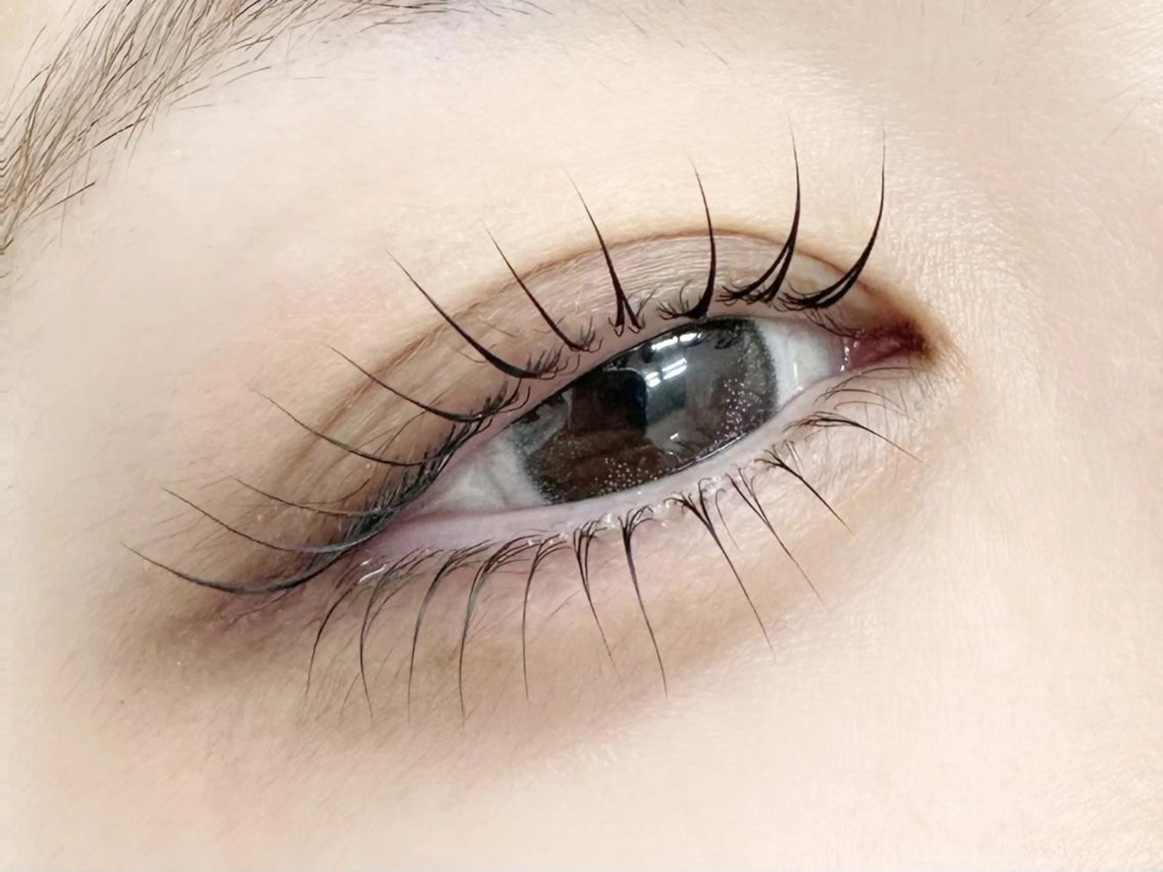 チクチク逆まつげ卒業🎓《下まつげパーマ》でスッキリ快適👁️￥4400の写真