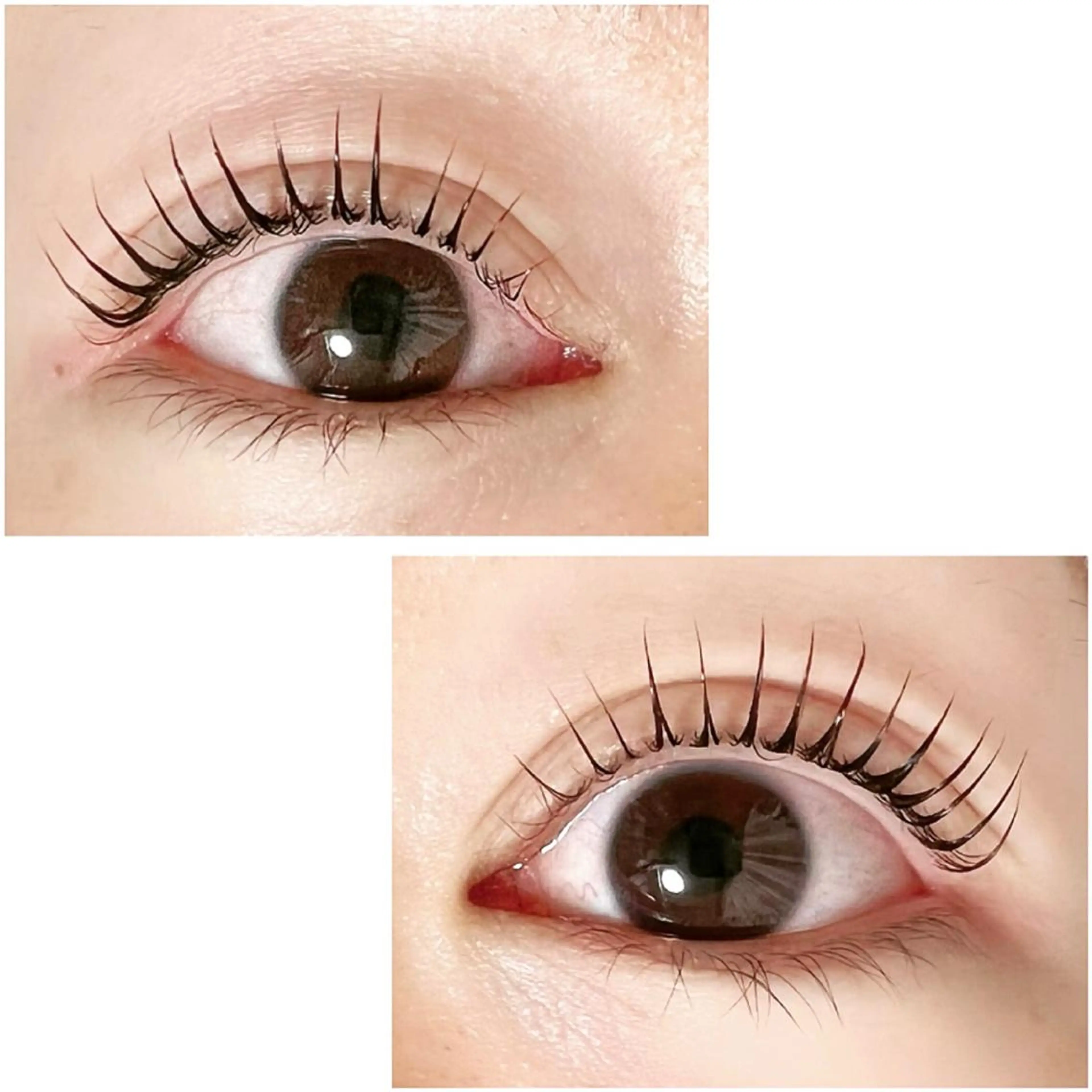 マツエク・マツパ Adorer(アドレ)所属・Adorer 🍀アドレ🍀のマツエク・マツパデザイン