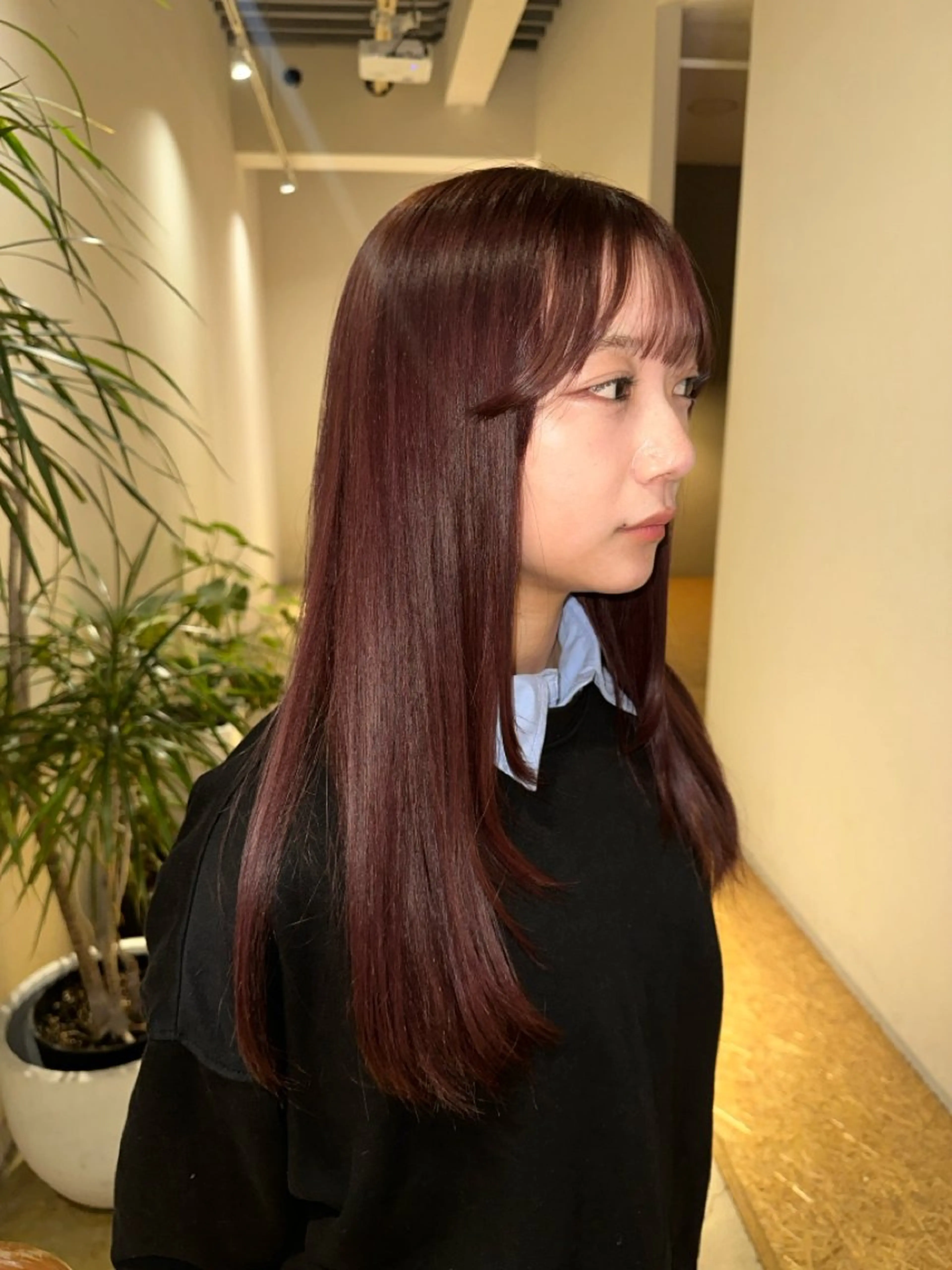 🍒U24 暖色ワンカラー🍒　(ロング料金あり)の写真