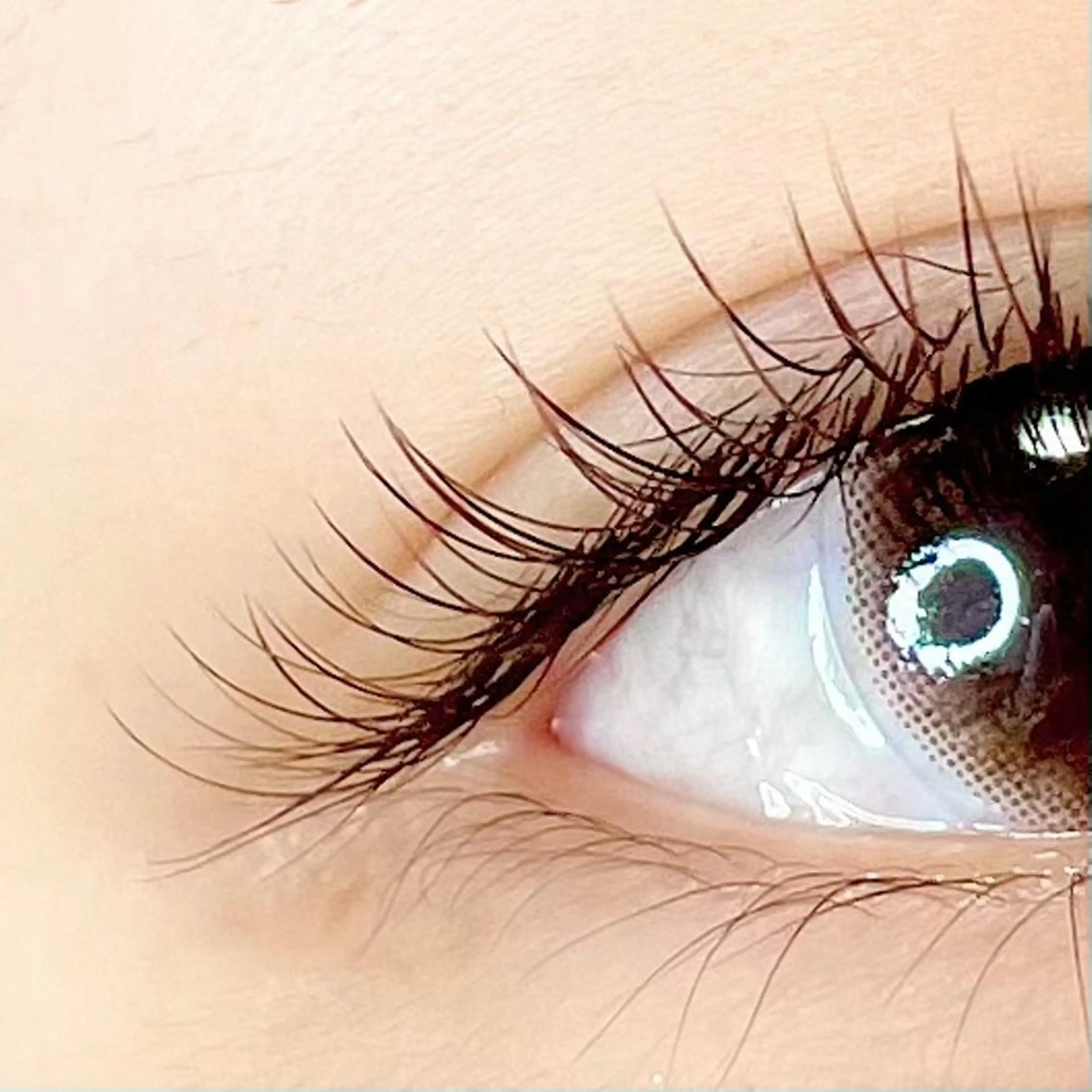 マツエク・マツパ カラーマツエク Paulele すぎ.*のマツエク・マツパデザイン