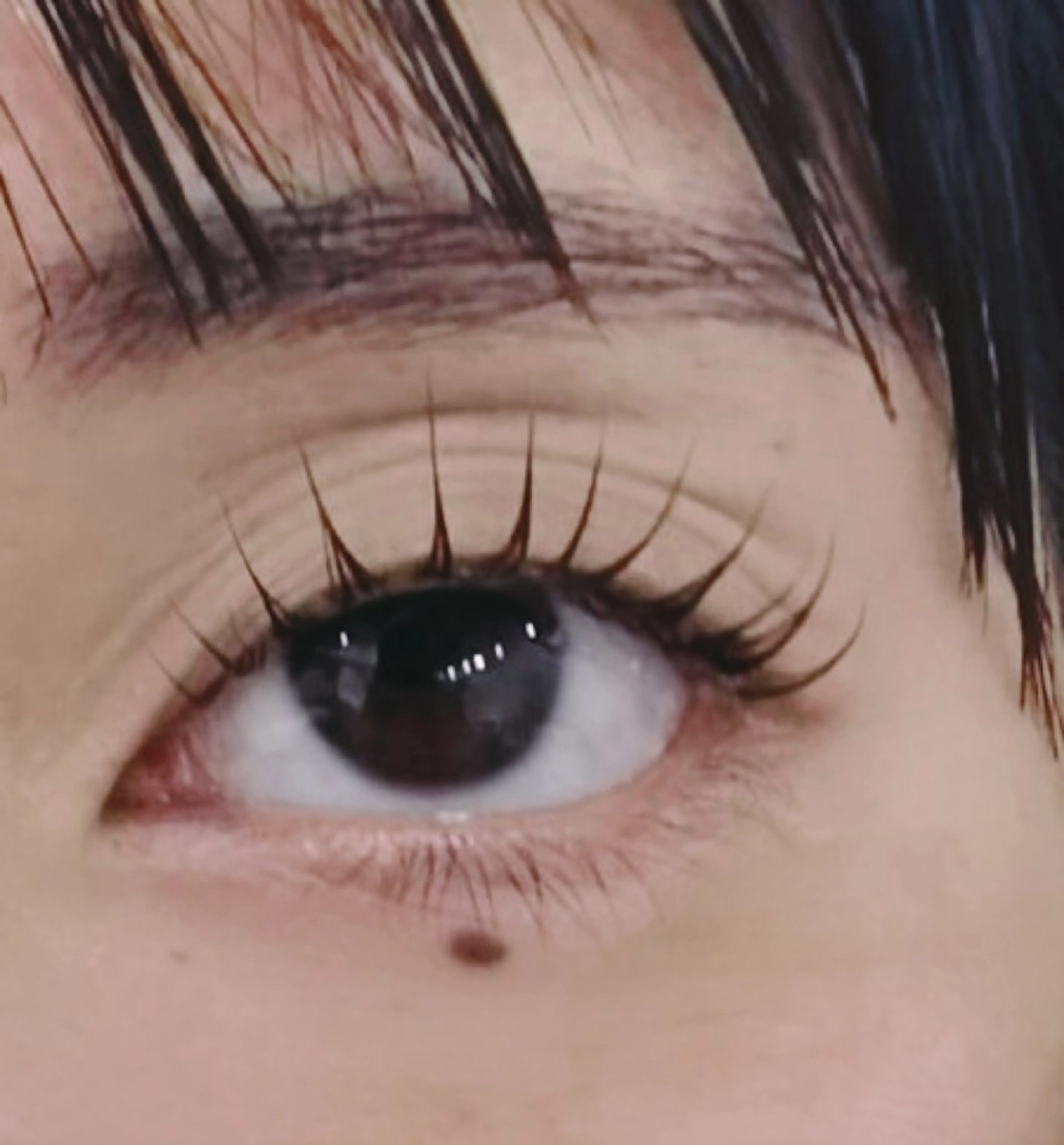 マツエク・マツパ 大人気🌸ran L ED専門店/パリエクのマツエク・マツパデザイン