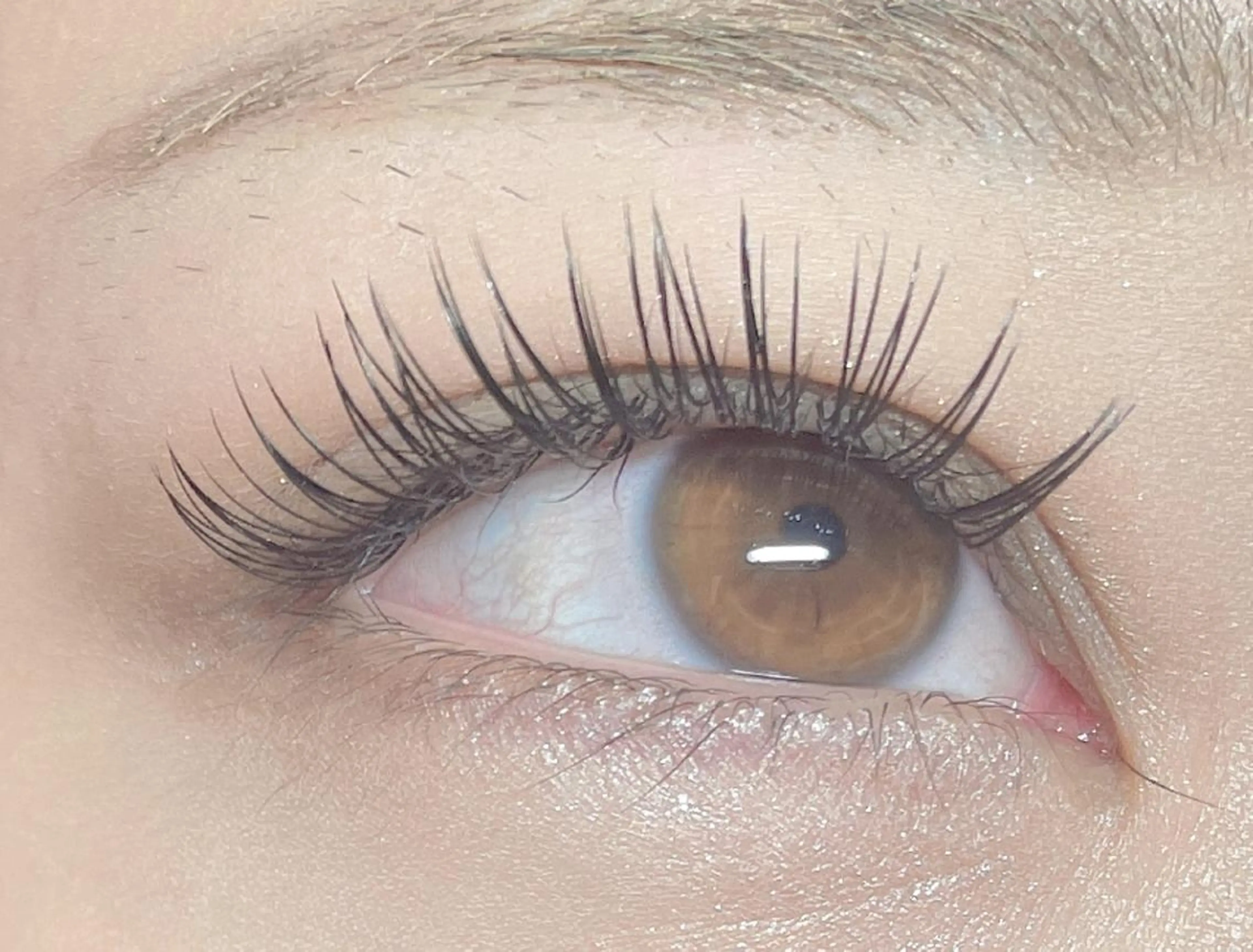 マツエク・マツパ マツエク princess 森 碧海のマツエク・マツパデザイン