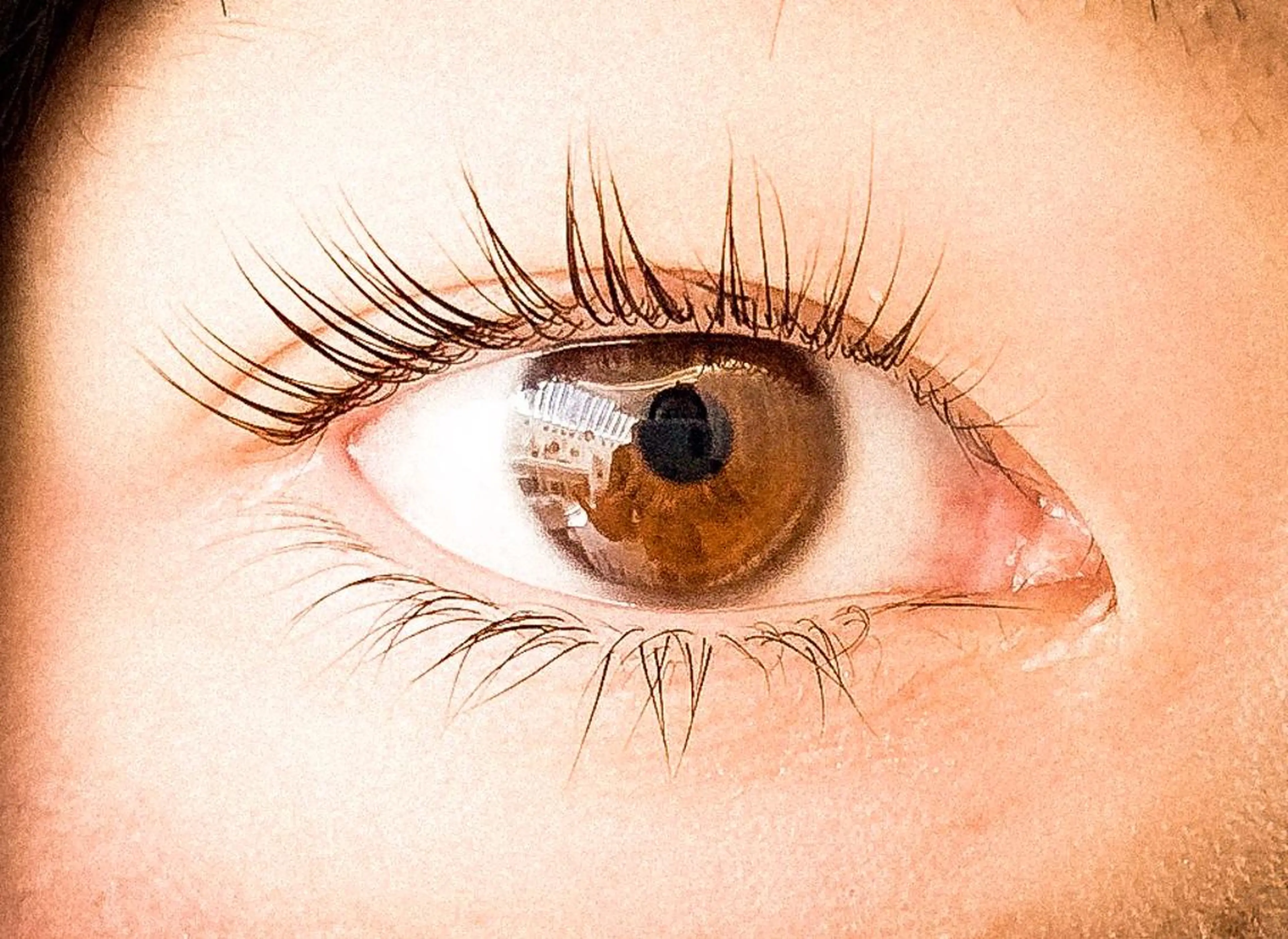 マツエク・マツパ 🌼 momoの眉毛・アイブロウイメージ