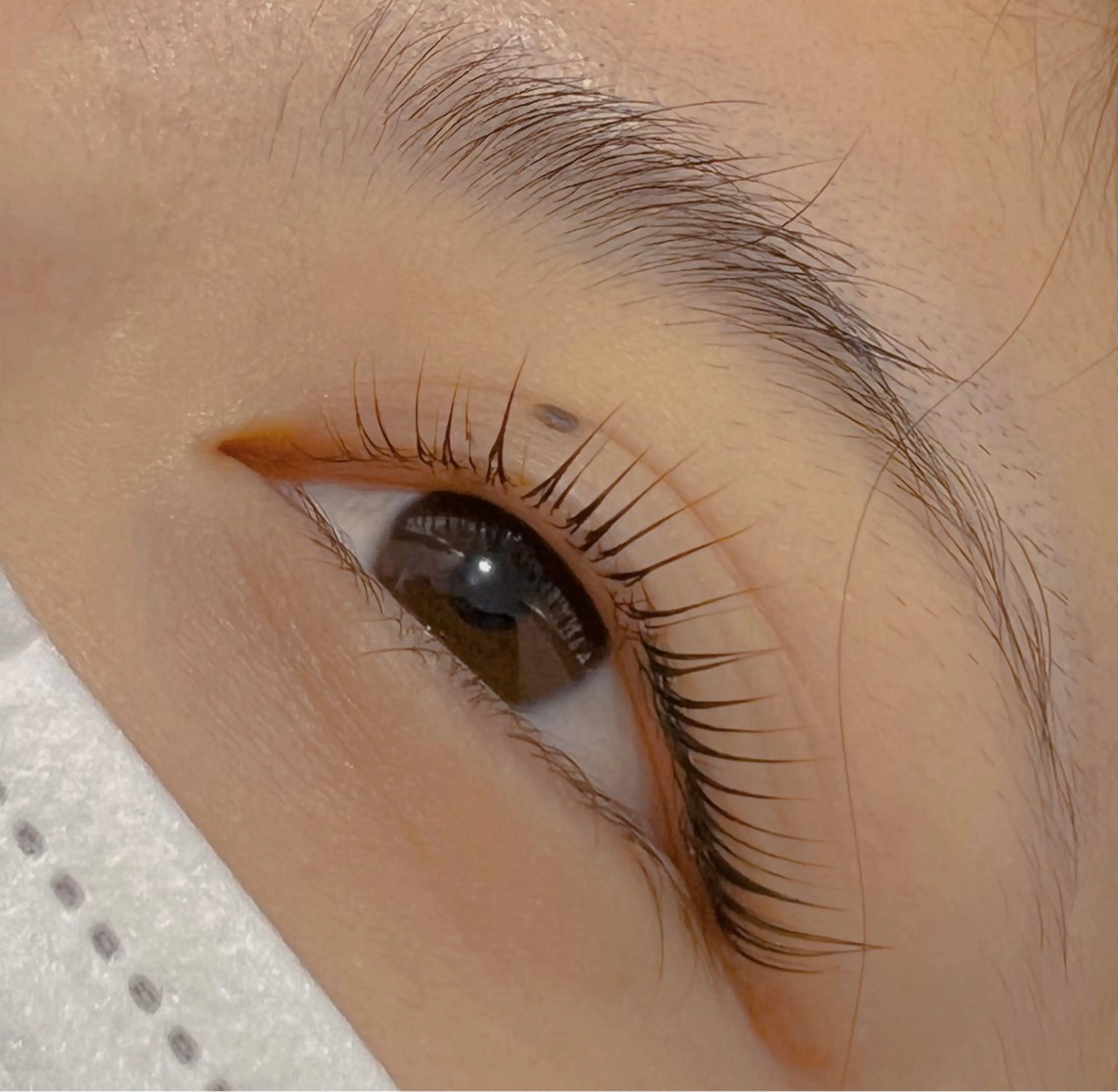 マツエク・マツパ マツパ YUUGA /横浜/個室‎🤍のマツエク・マツパデザイン