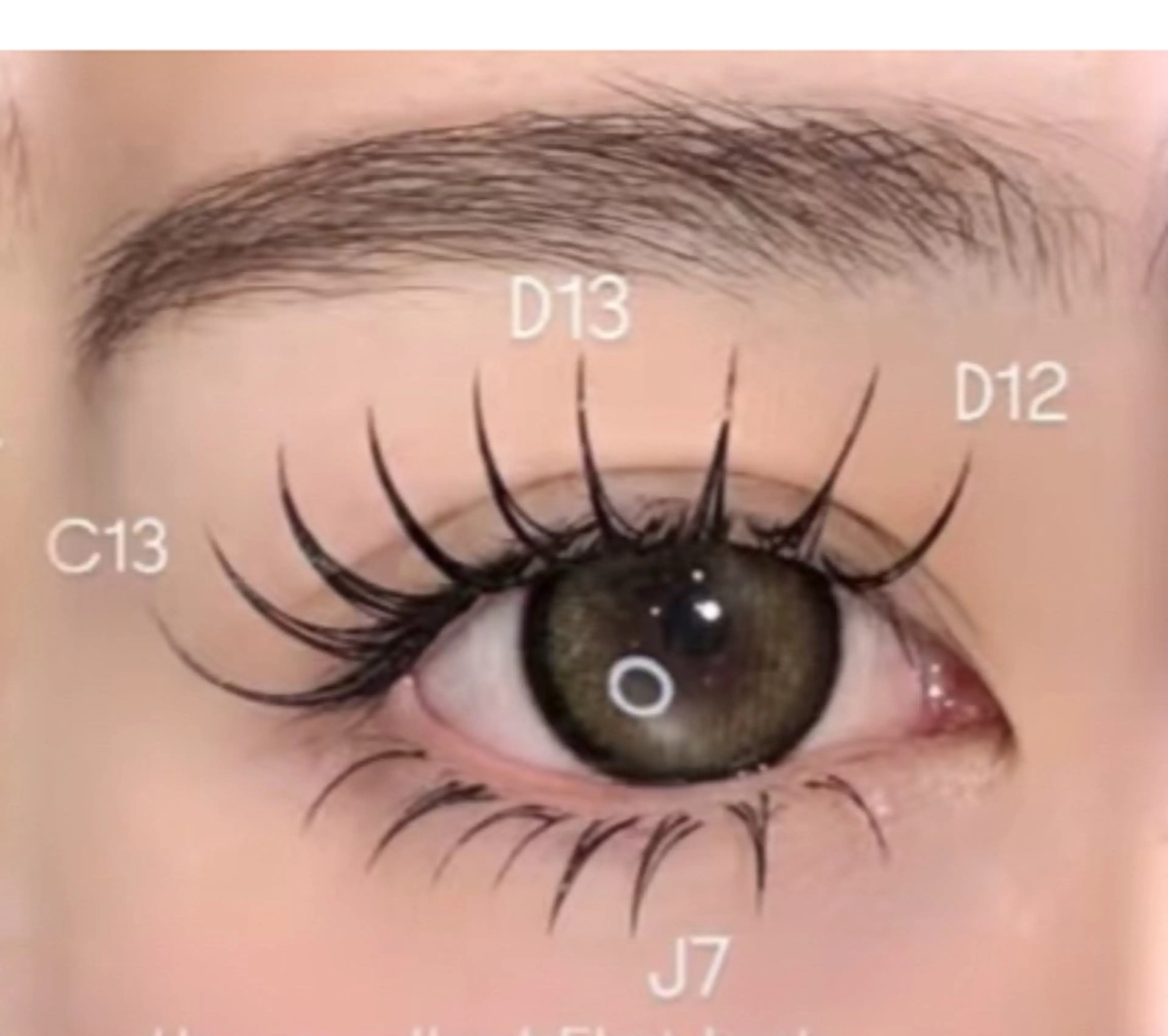 [大人気]💕ボリュームラッシュ束感OK💕上下つけ放題コーティング付きの写真