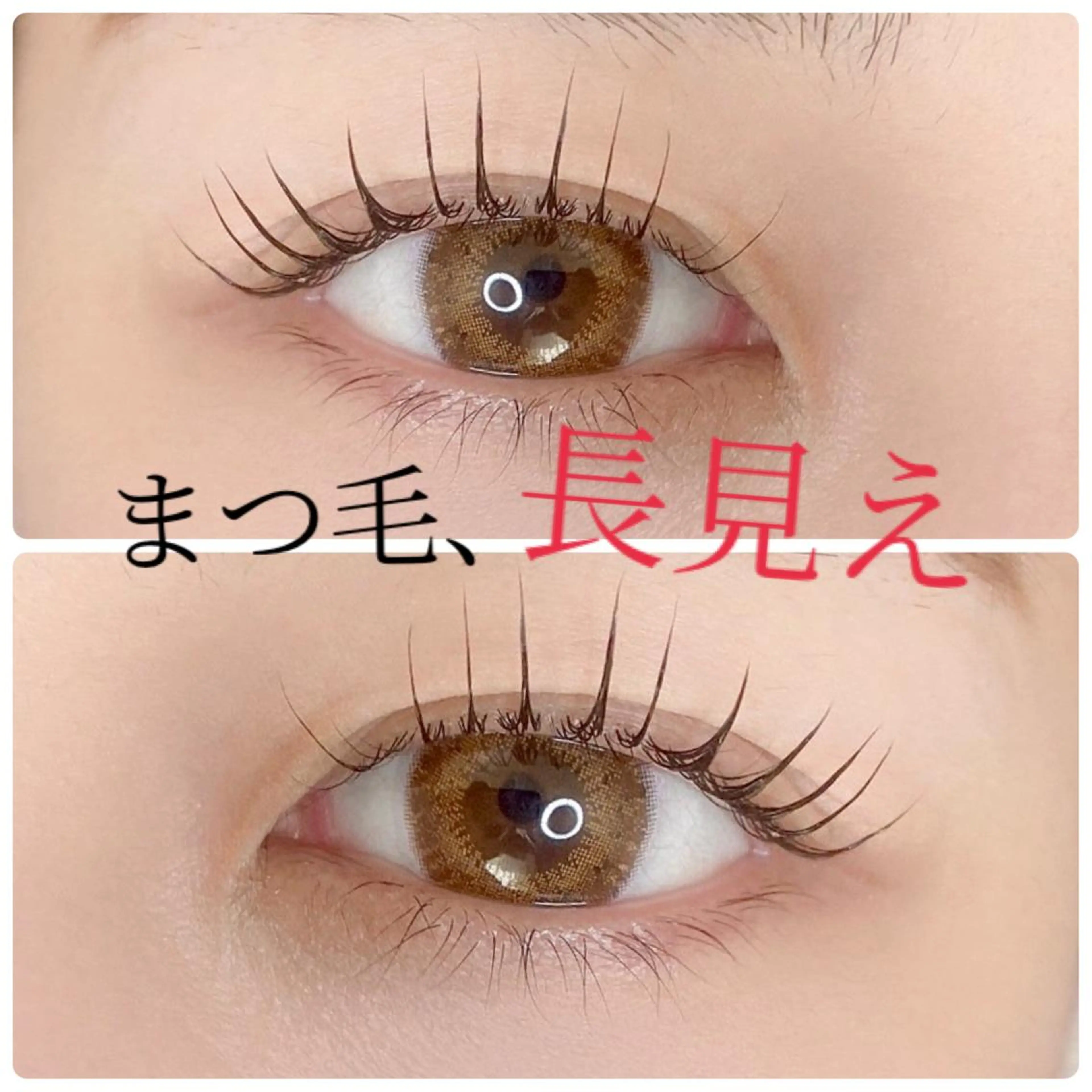 マツエク・マツパ 束感まつ毛 韓国風マツエク パリジェンヌラッシュリフト まつげパーマ 一重×まつ毛パーマ マツパ beauty salon ma'am所属・erica💐 ma'amのマツエク・マツパデザイン