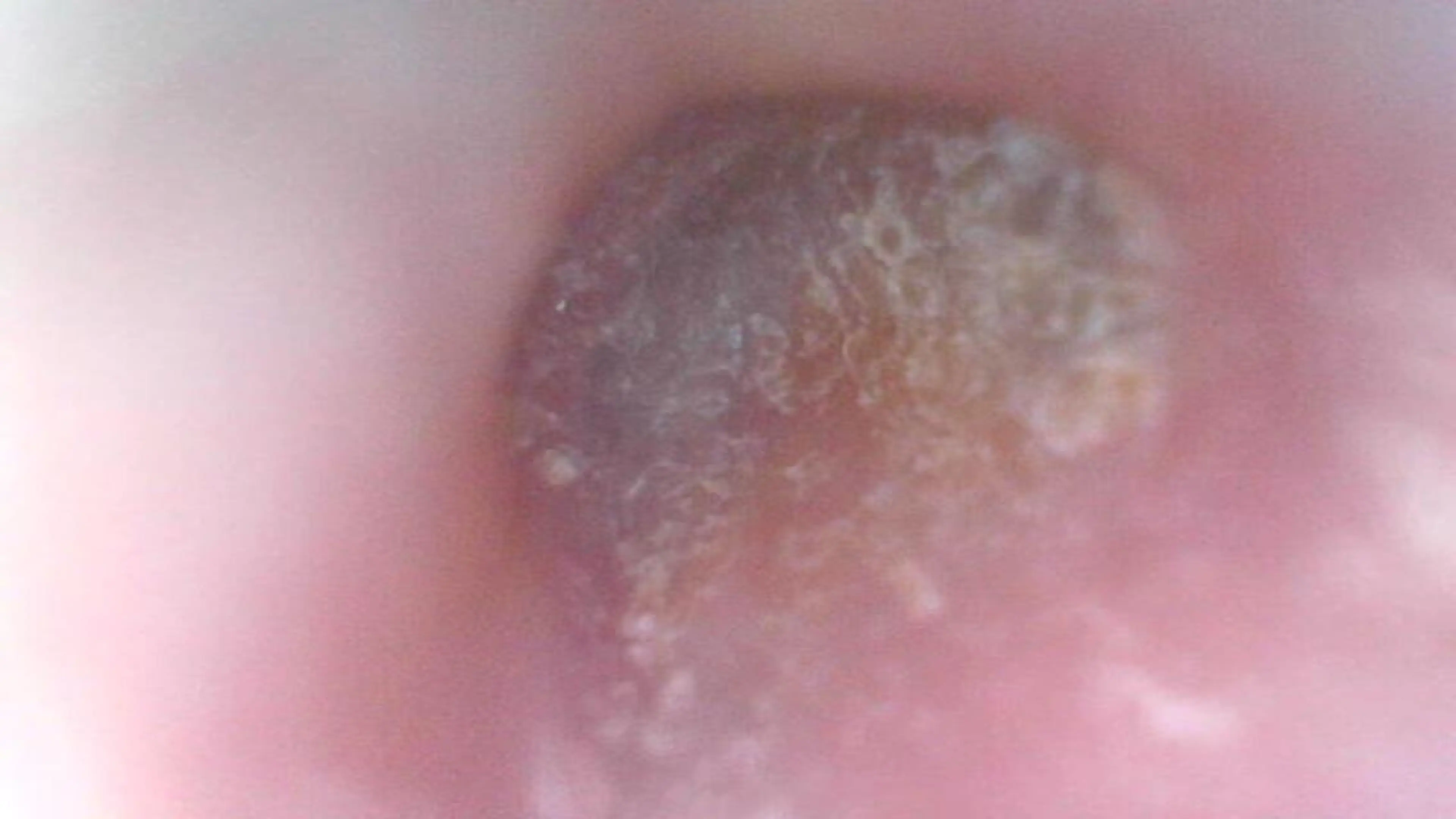 伊 藤のその他イメージ