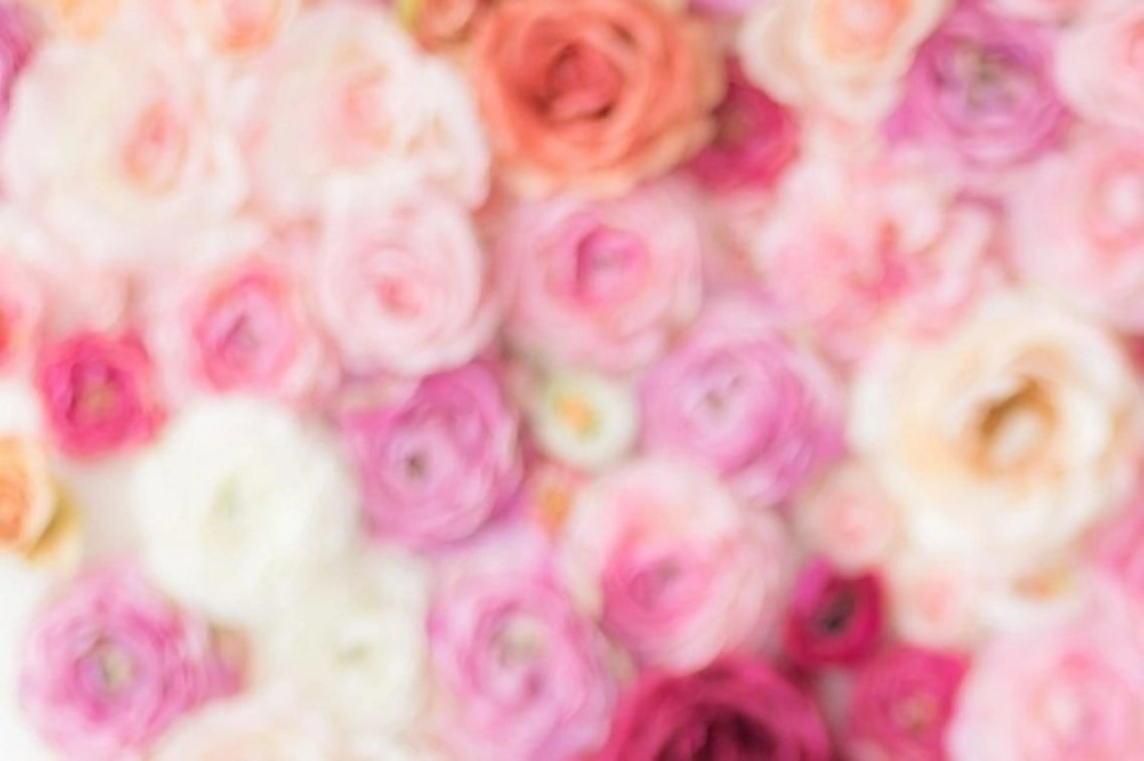 メナードフェイシャルサロン細谷所属・矢口 純子のエステ・リラクイメージ