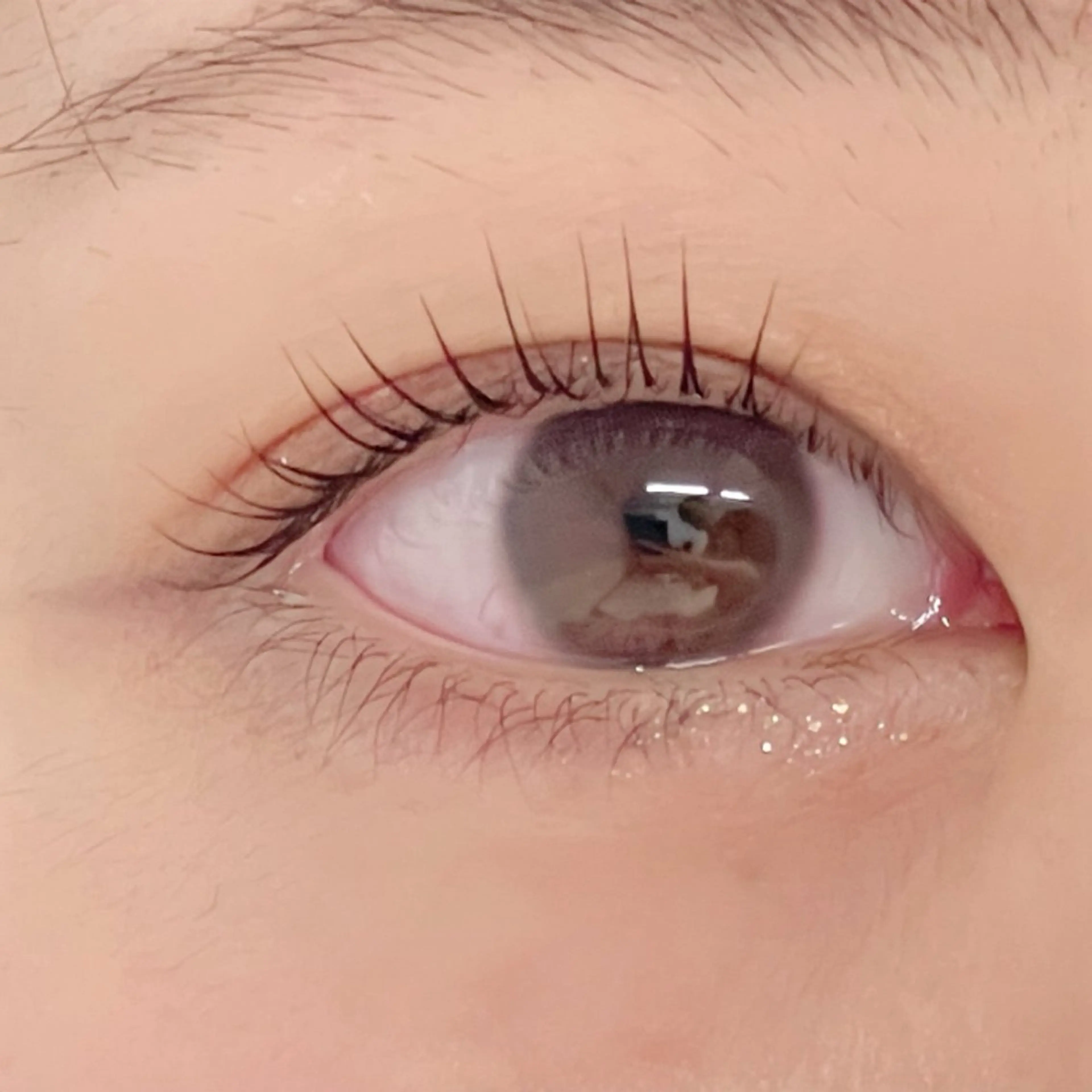 マツエク・マツパ マツパ GO TODAY シェアサロン 銀座Eclara店所属・mihiro 🐈‍⬛の眉毛・アイブロウイメージ