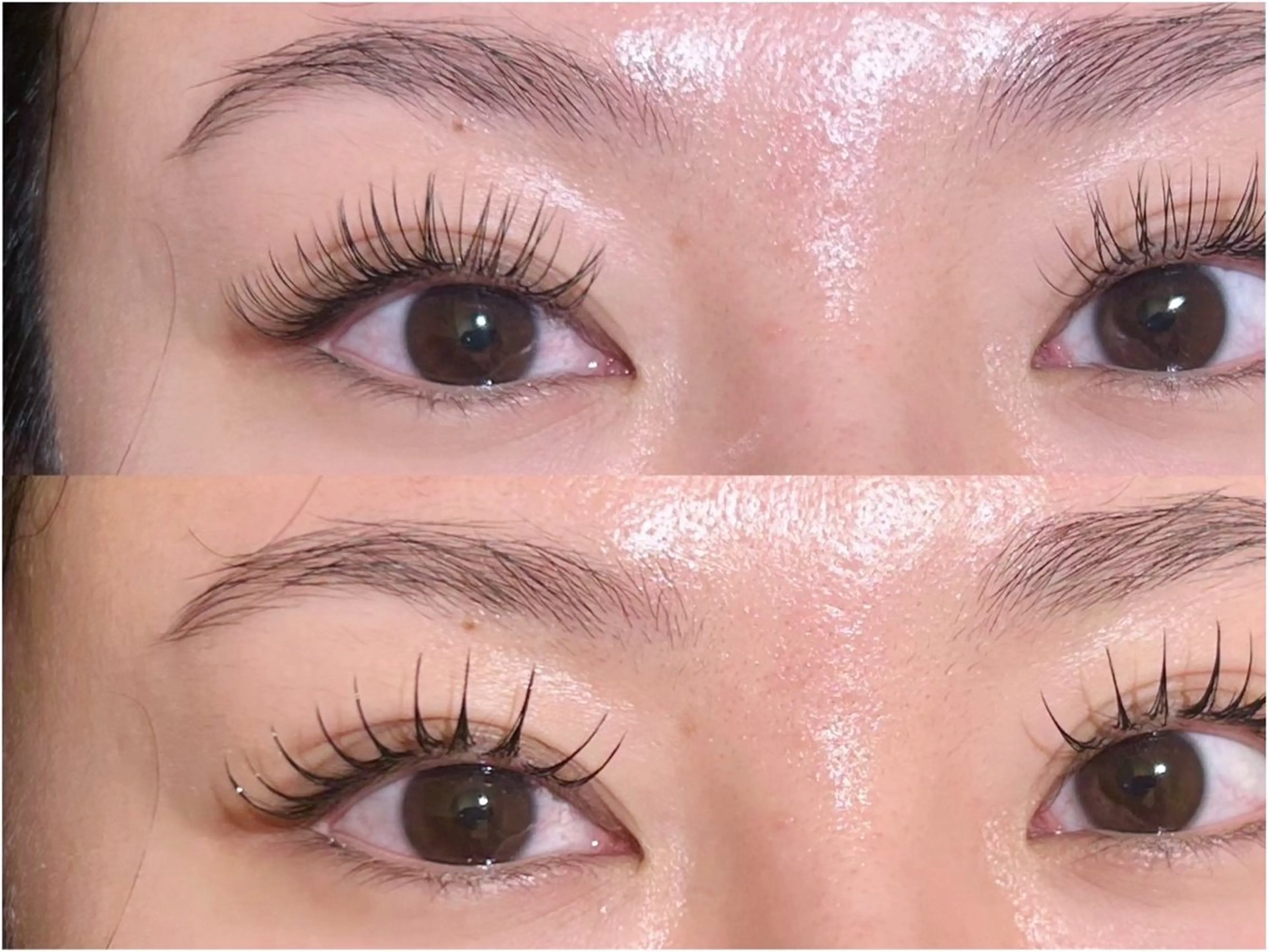 当日限定🩷LEDエクステ💖フラット100本(オフあり+500円)コーティング付き🧚の写真