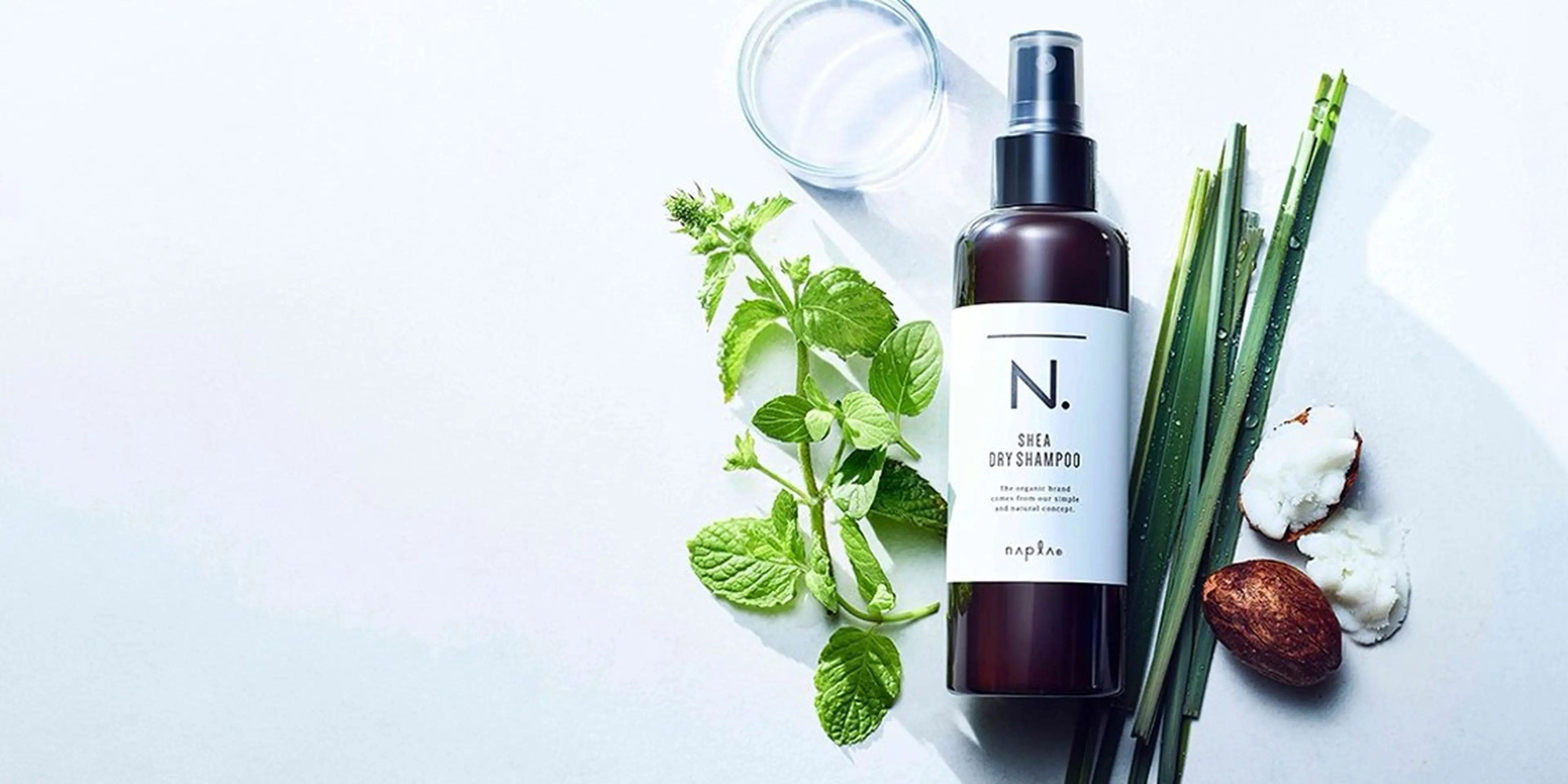 ショート カット ヘアカラー トリートメント MYRTLE TSUNODAのヘアスタイル