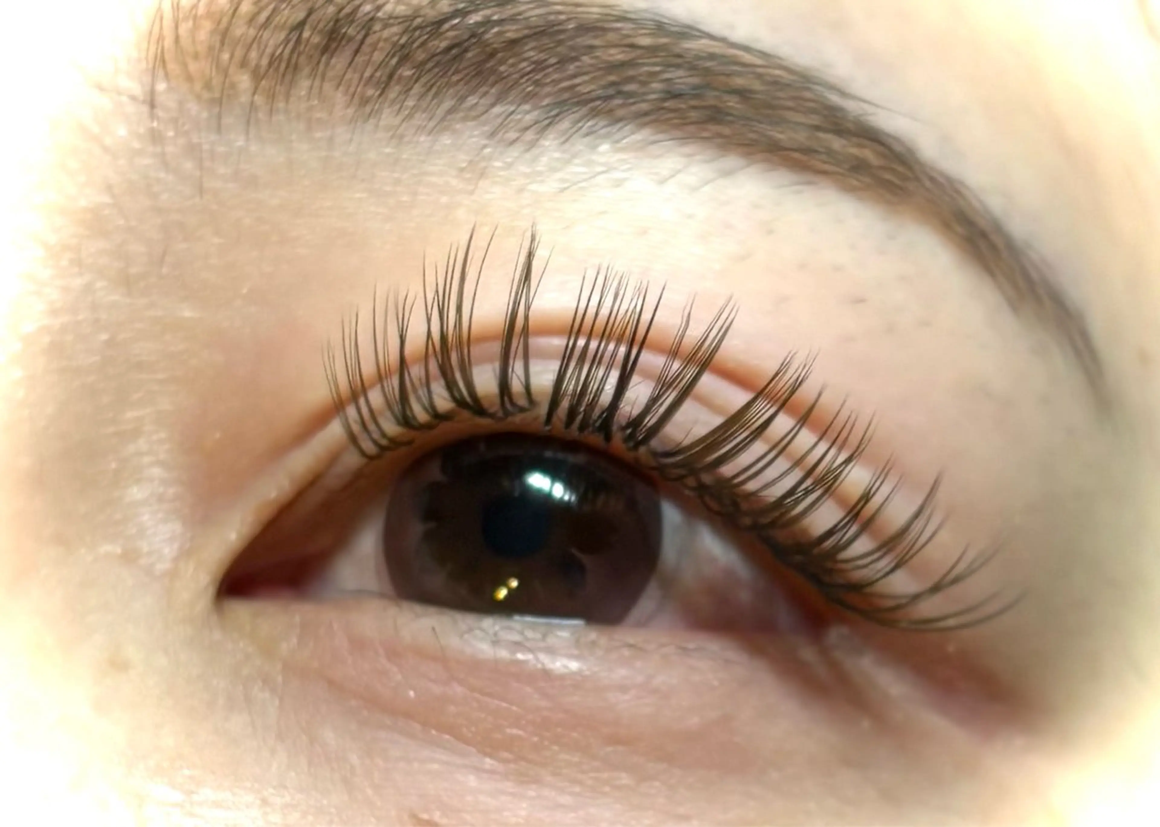 カラーボリュームラッシュ300本(オフ込み)の写真