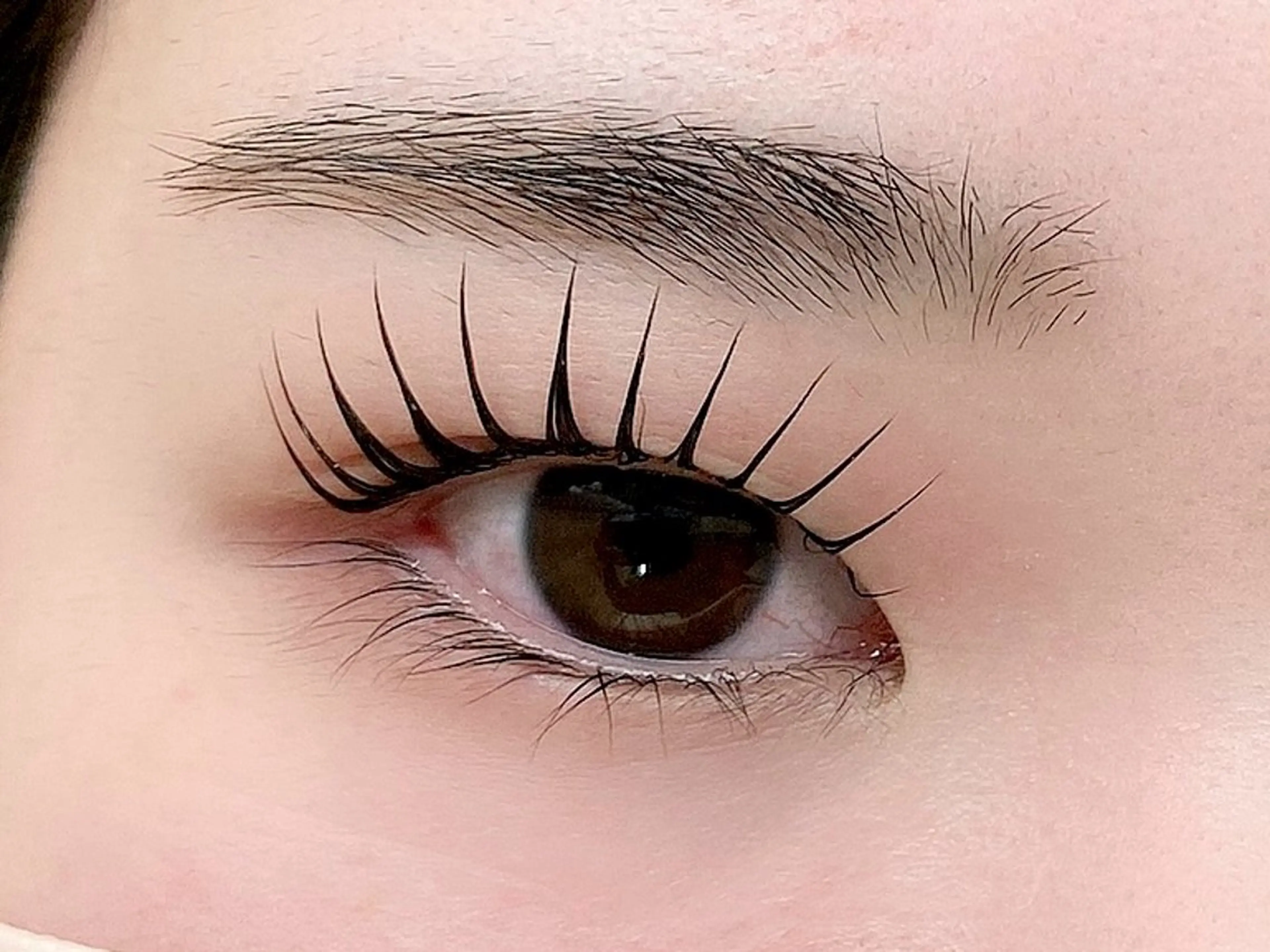 パリジェンヌラッシュリフト👠✨アイシャンプー＋トリートメント付き🫧の写真