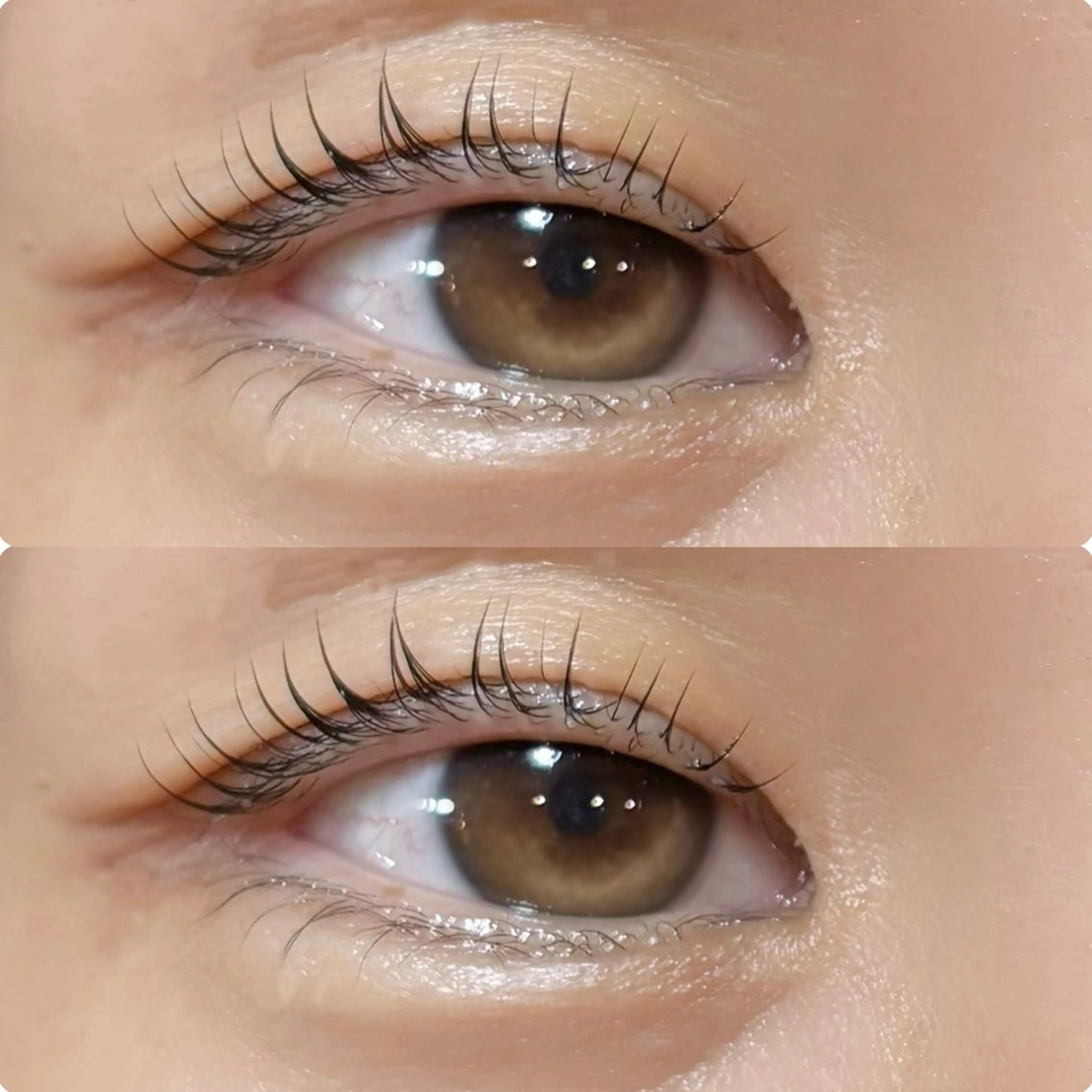 マツエク・マツパ マツパ meguru／マツパ ／マツエク／束感のマツエク・マツパデザイン