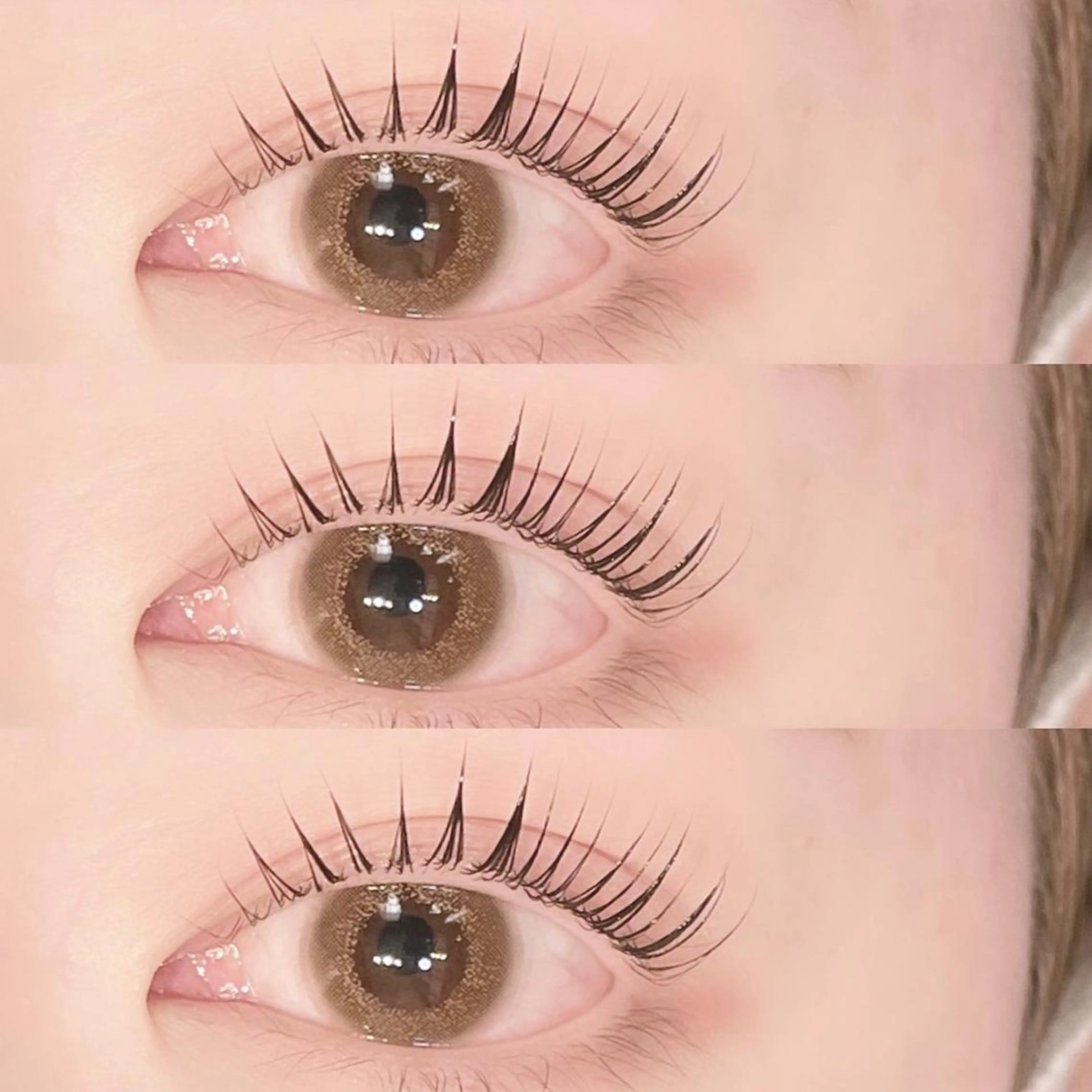 ❤︎初回限定価格❤︎パリジェンヌラッシュリフト💕束感美容液仕上げ🪄(エクステオフ不可)の写真