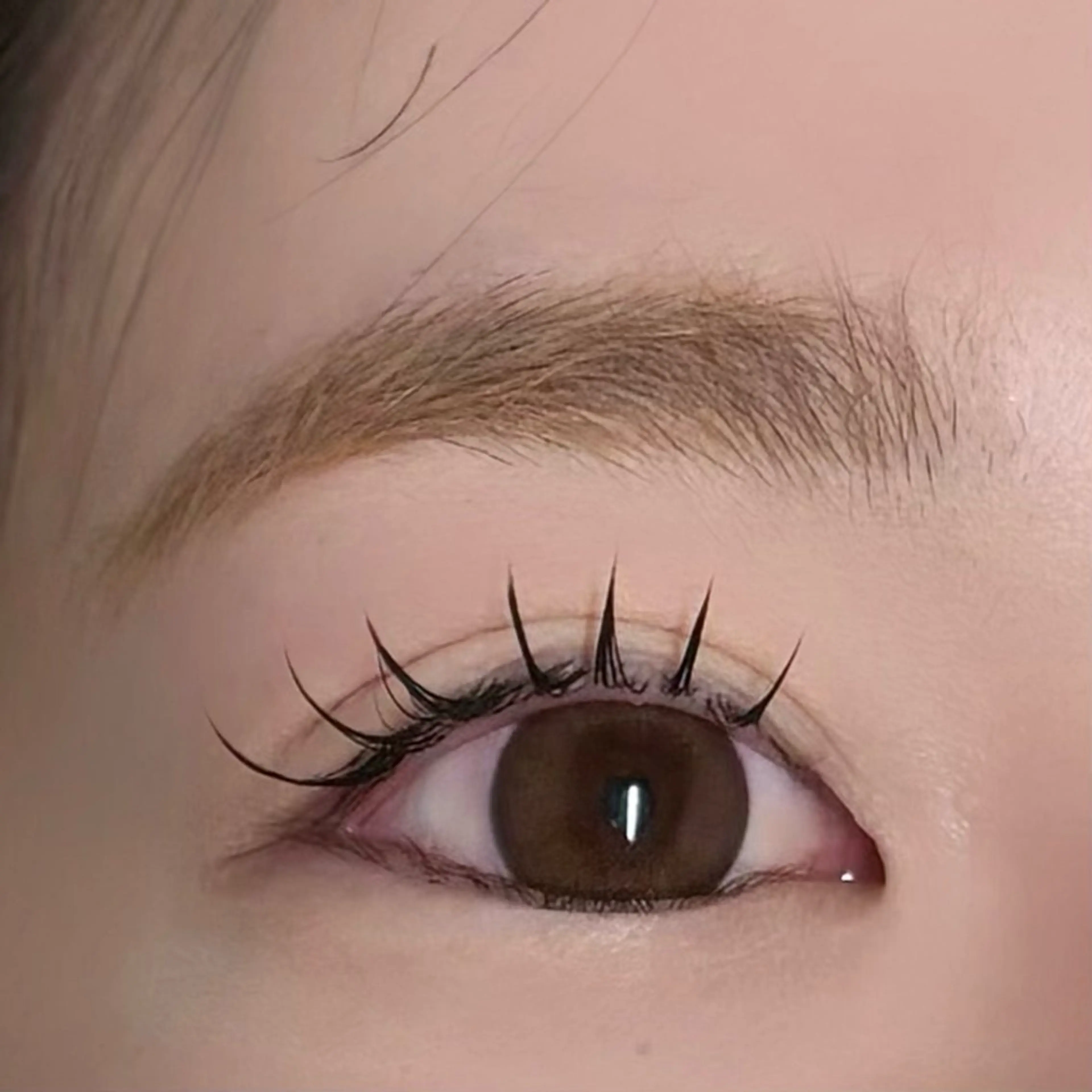 マツエク・マツパ マツエク Plus Eono ／ Kaedeのマツエク・マツパデザイン