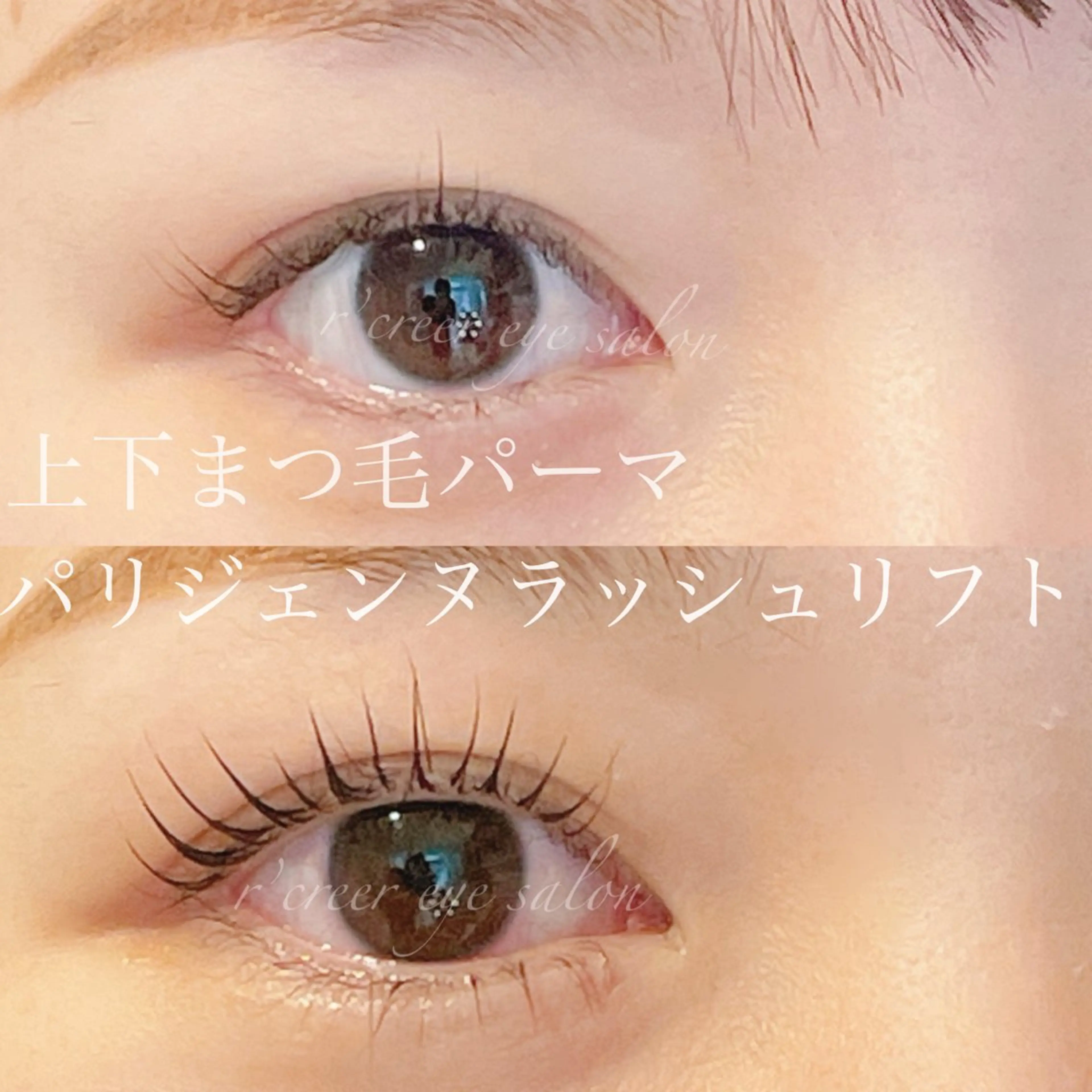 🧸⭐️✨パリジェンヌラッシュリフトの写真