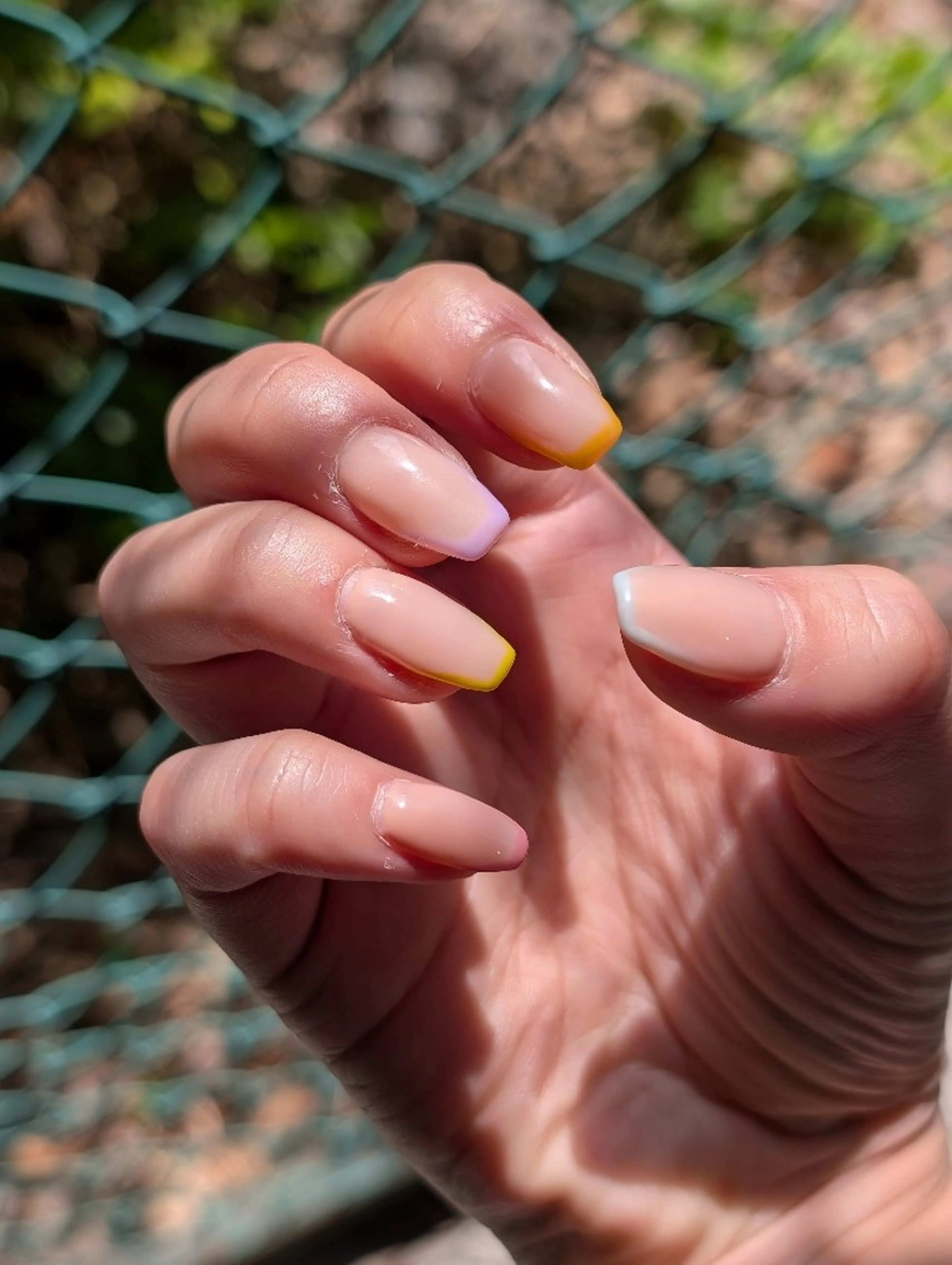 ネイル フレンチネイル miwa🌿 .fのネイルデザイン