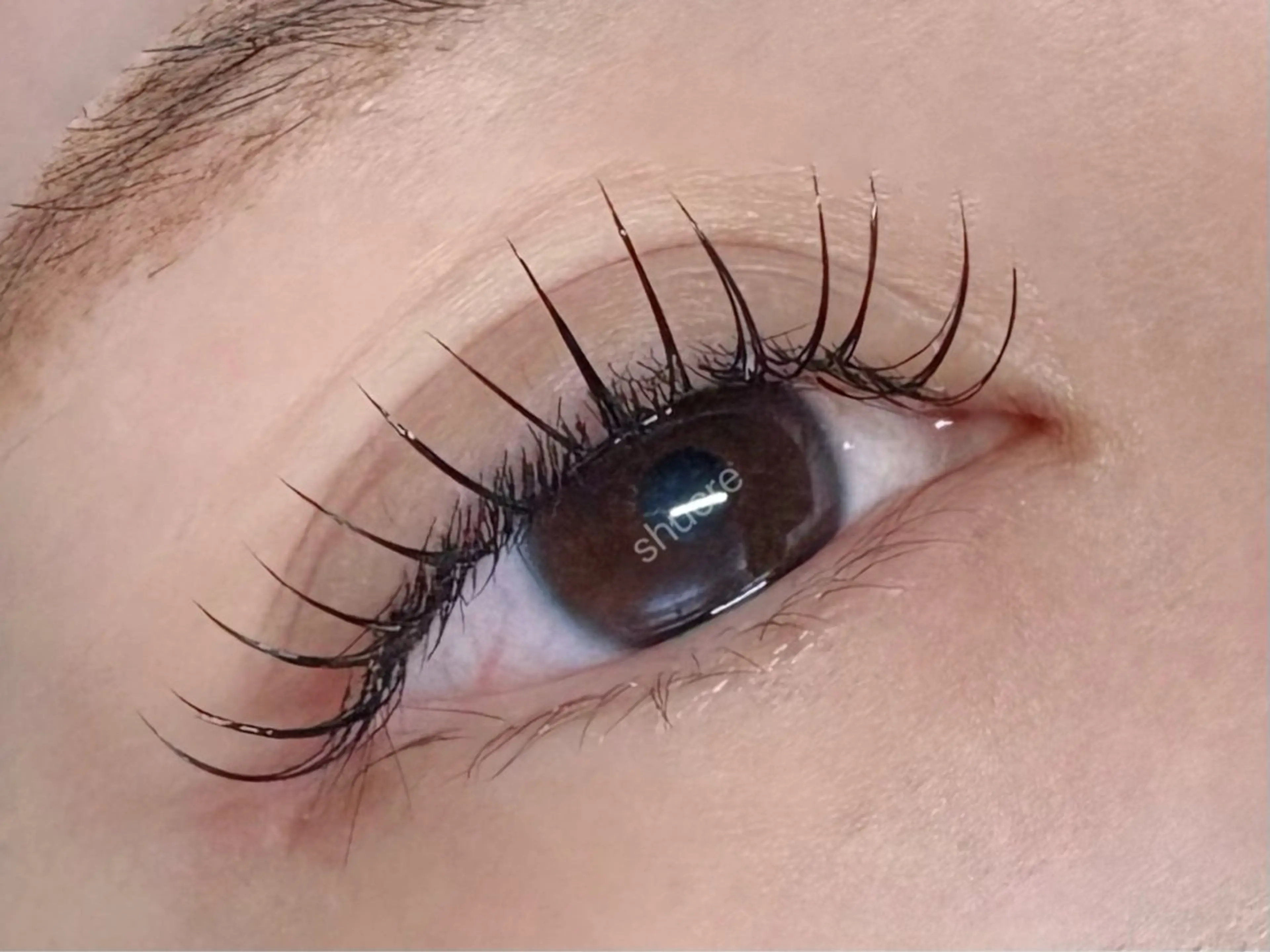 マツエク・マツパ マツエク eyelash / 伊藤のマツエク・マツパデザイン