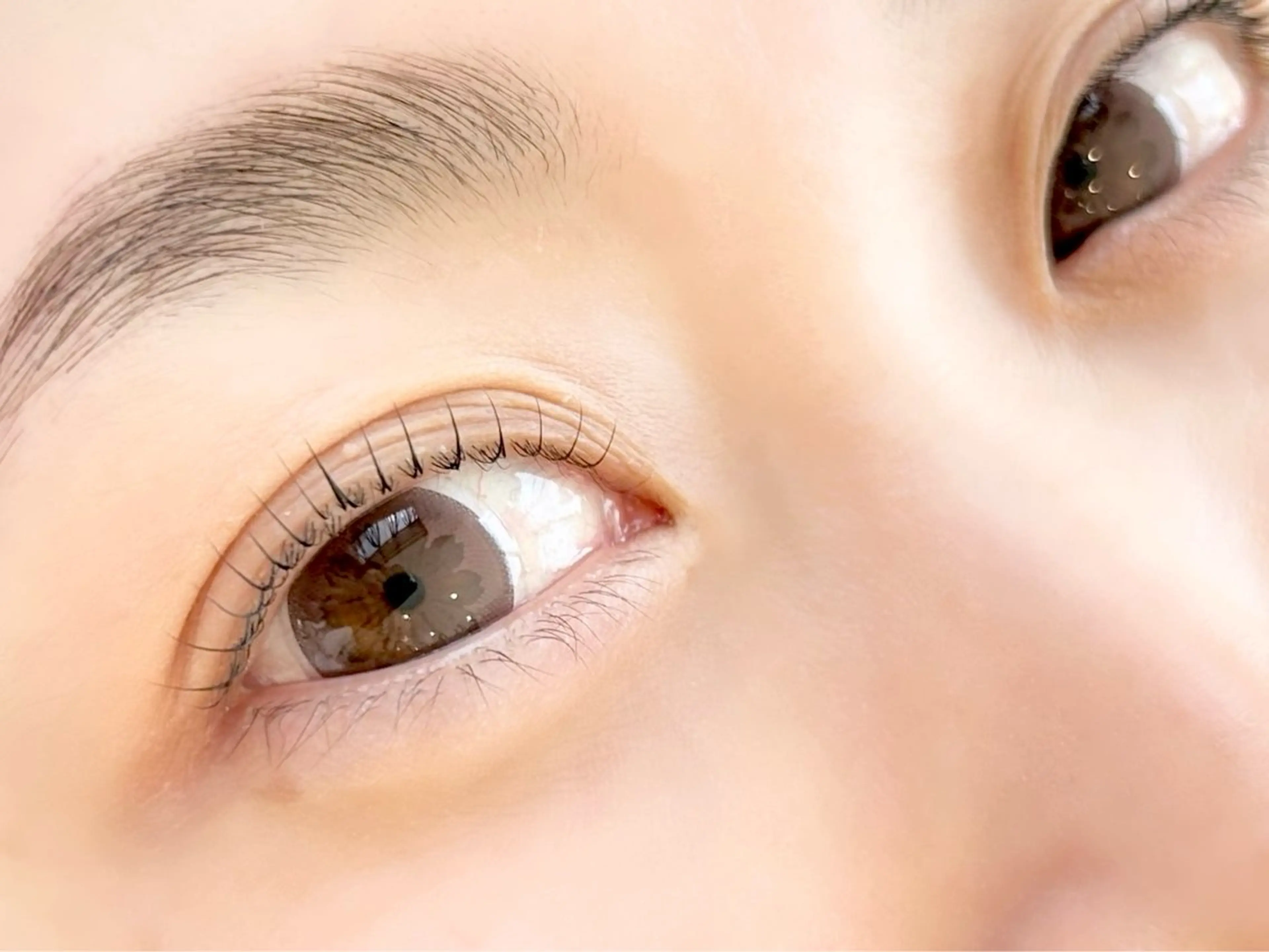 上下 まつげパーマ(カール・立ち上げ・デザイン提案お任せください🌸)の写真