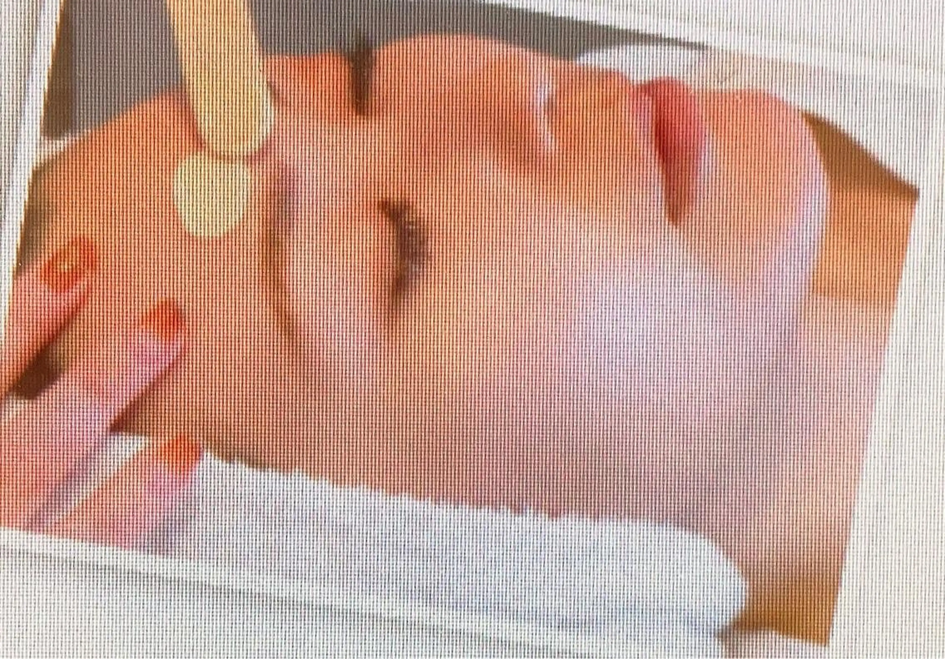 中山 梨花の眉毛・アイブロウイメージ