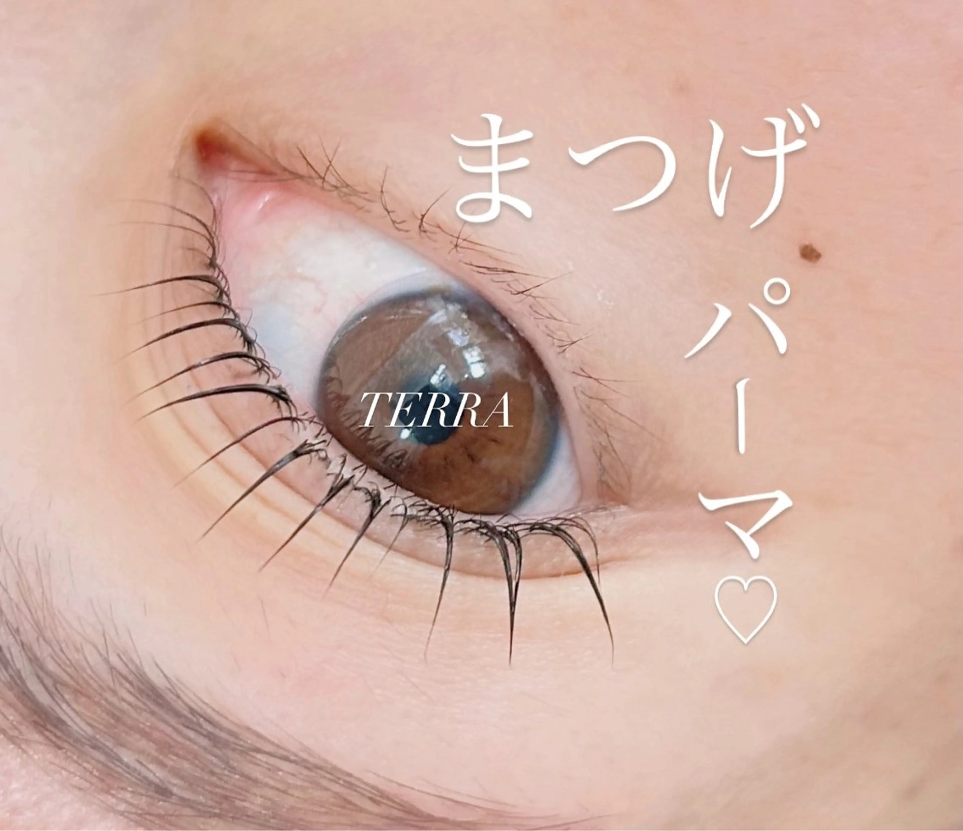 マツエク・マツパ Salon TERRA🌏のマツエク・マツパデザイン