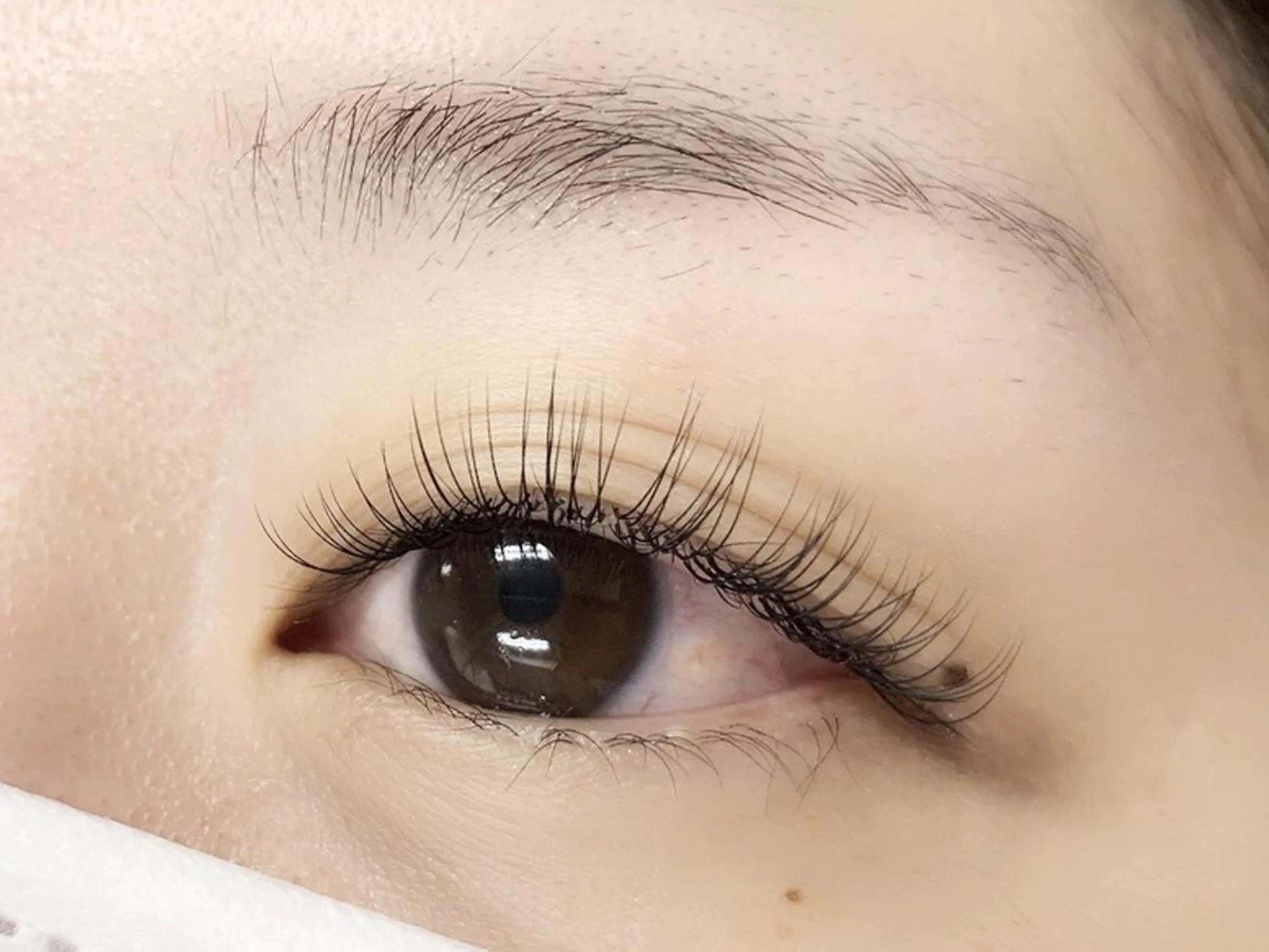 マツエク・マツパ まつ毛屋uracco所属・まつ毛屋 uraccoのマツエク・マツパデザイン