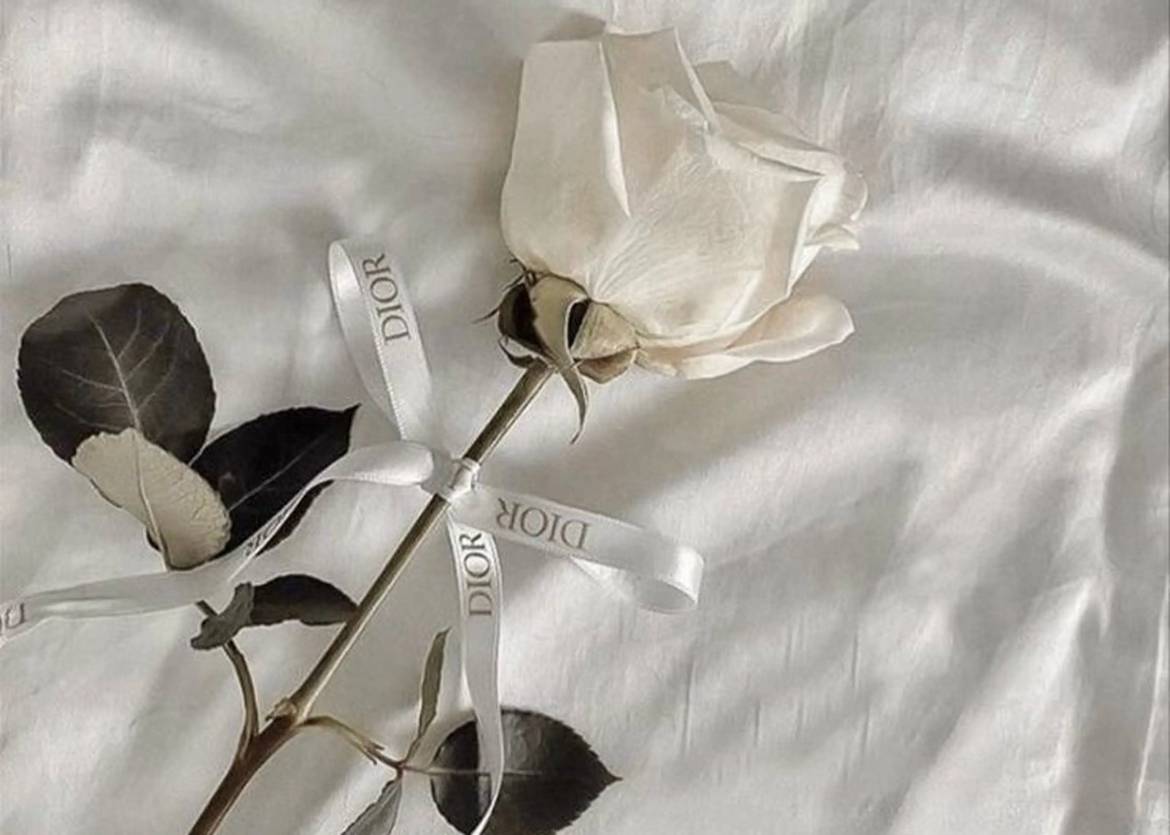 MASAKI KOKOROのマツエク・マツパデザイン