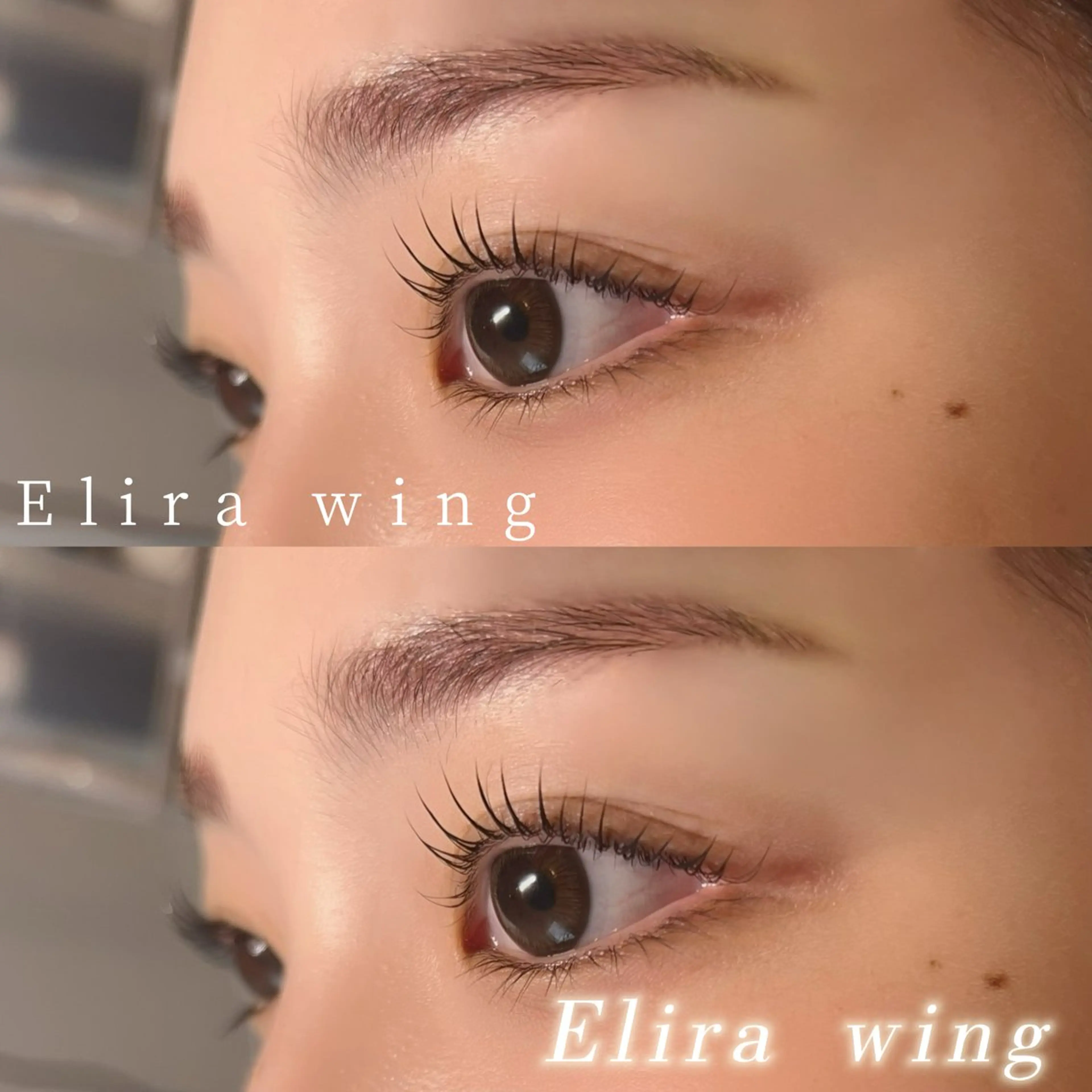 マツエク・マツパ Elira wingのマツエク・マツパデザイン