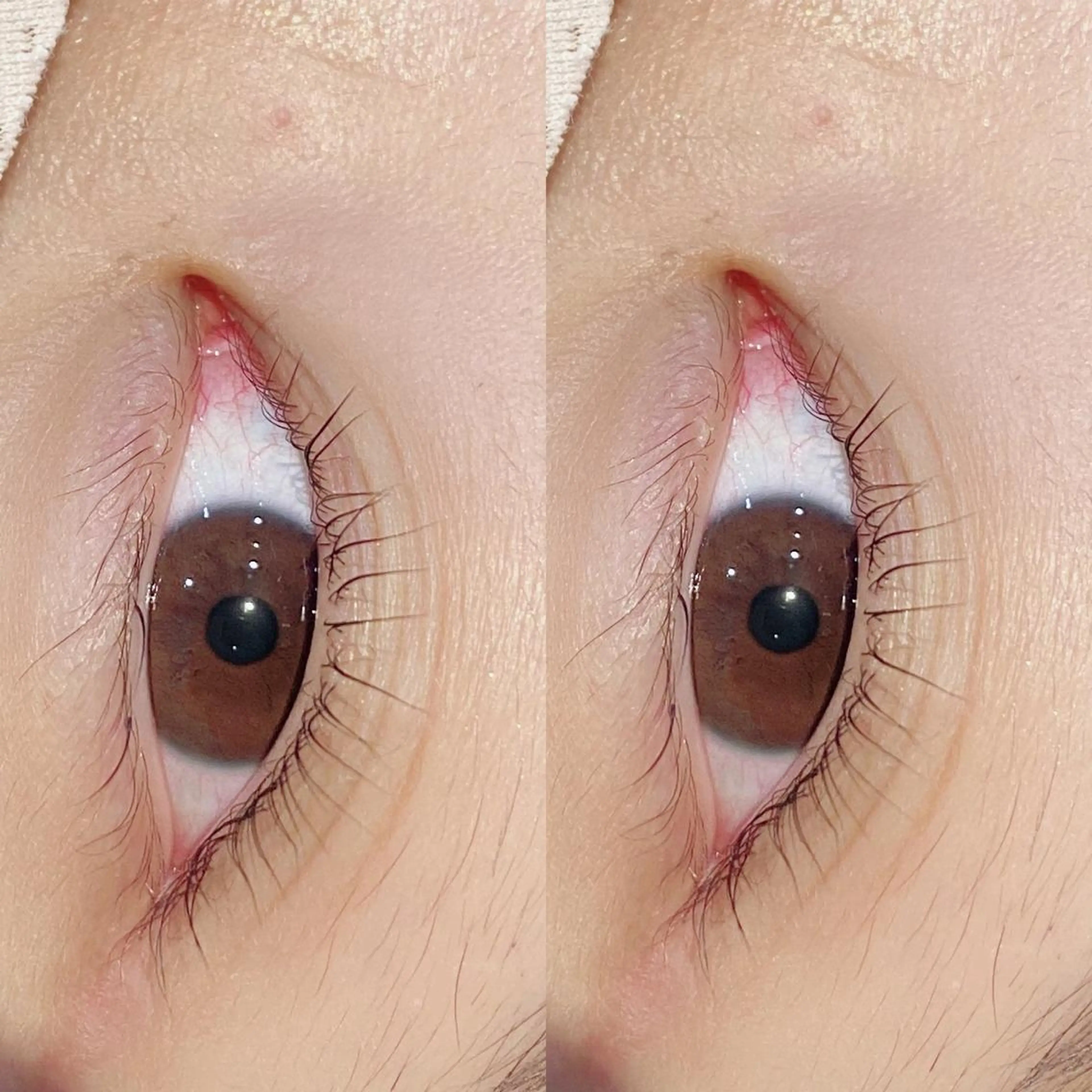 マツエク・マツパ パリジェンヌラッシュリフト Bianca 長津田店　長牛の眉毛・アイブロウイメージ