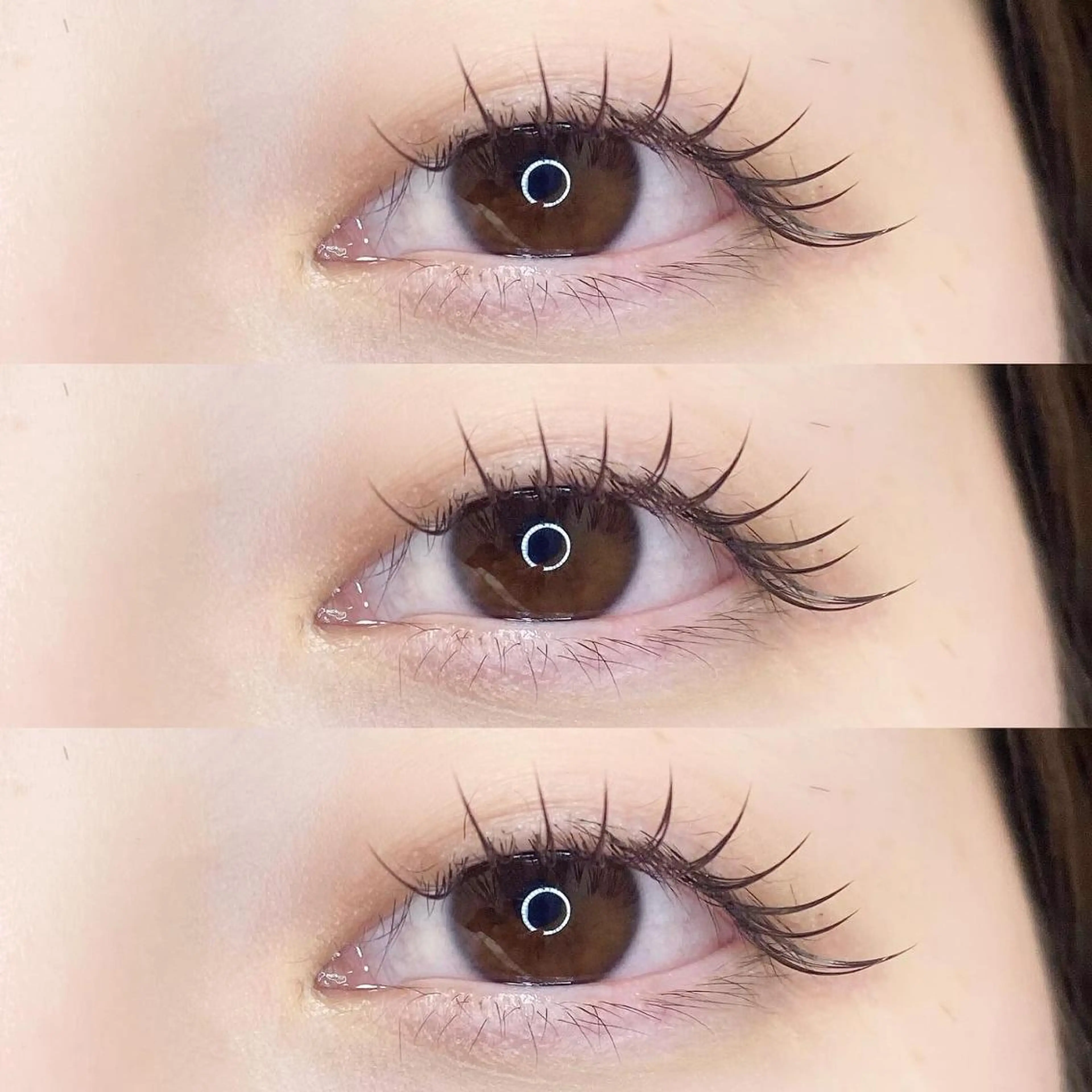 マツエク・マツパ ブラウンラッシュ カラーマツエク フラットラッシュ ナチュラル パリジェンヌラッシュリフト KURUMI🦋 まつエクまつパ美眉のマツエク・マツパデザイン