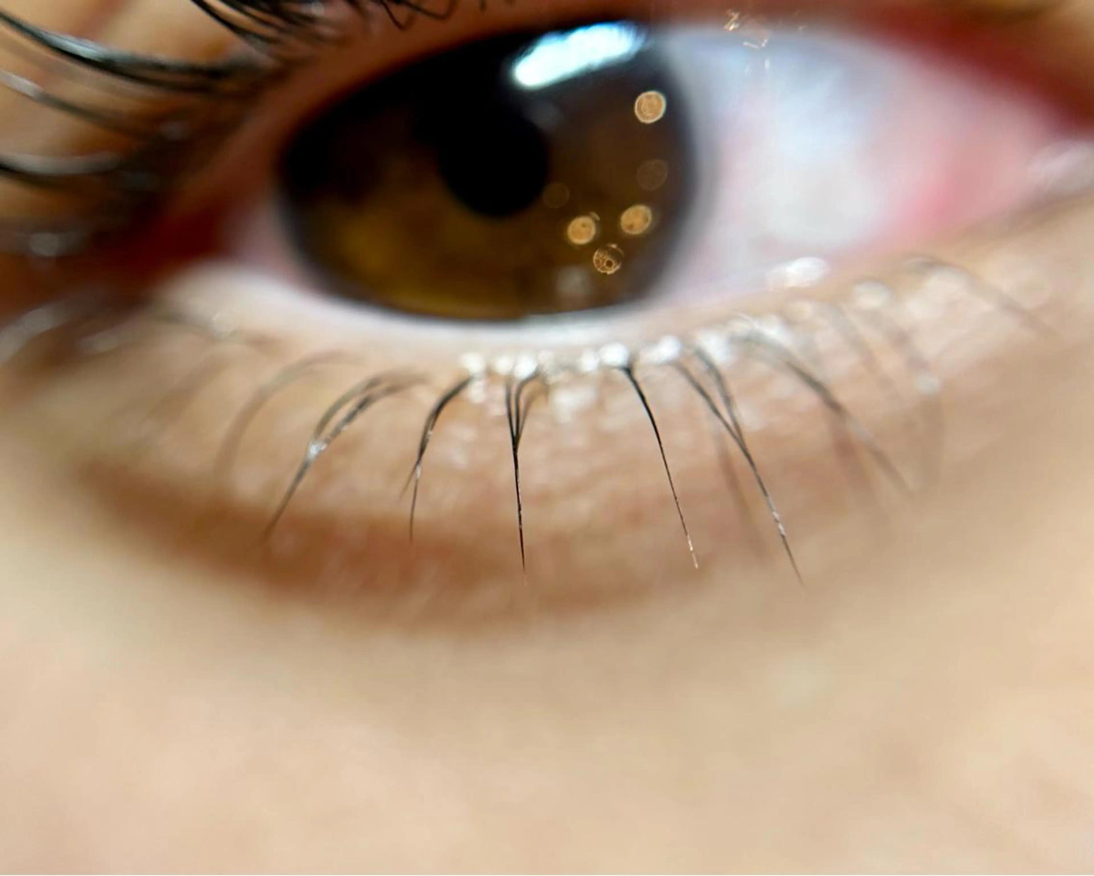 マツエク・マツパ 下まつげエクステ 一重×まつ毛パーマ komatsu eyelash恵比寿のマツエク・マツパデザイン